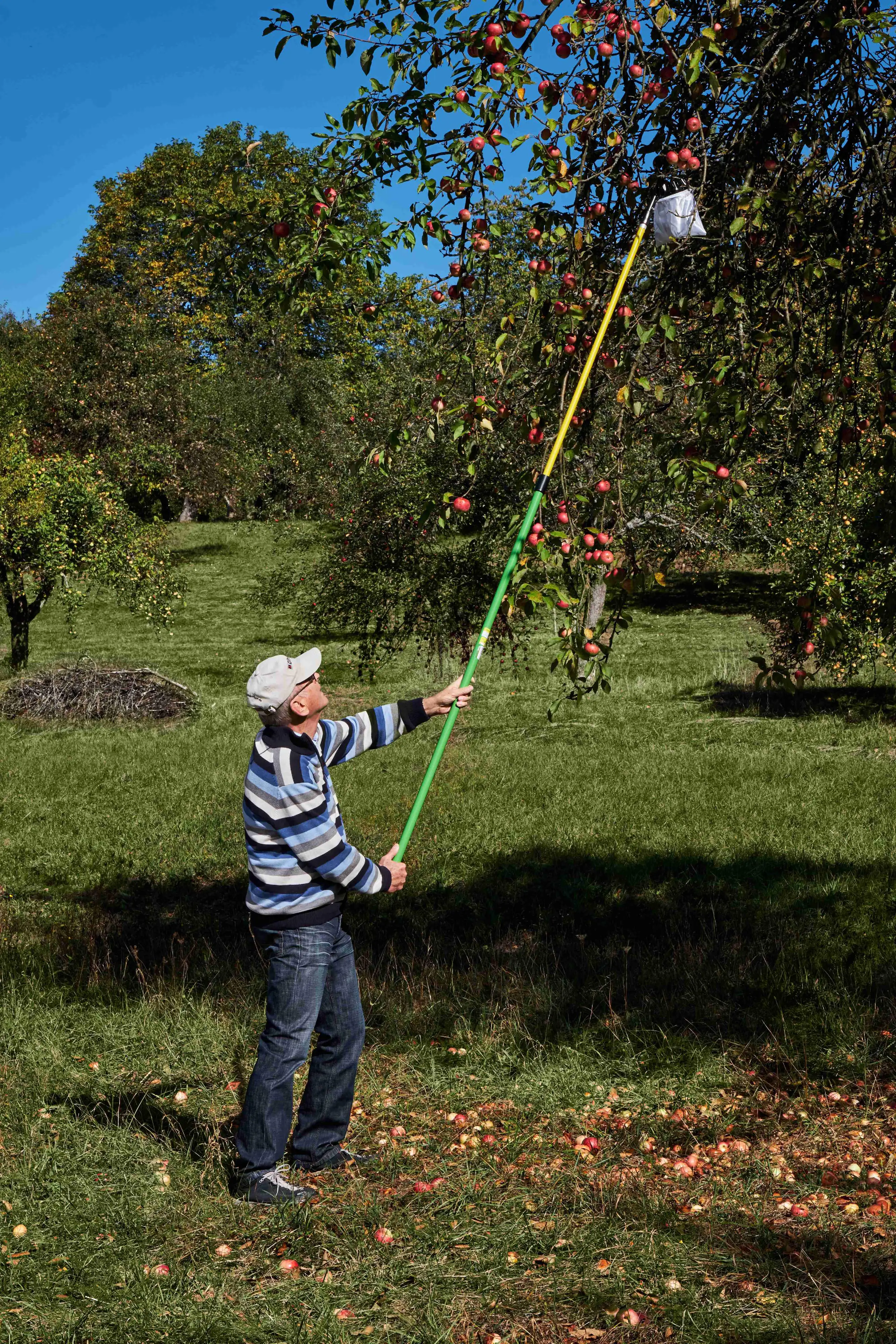 Freund Victoria Obstpflückset 13 cm Ø