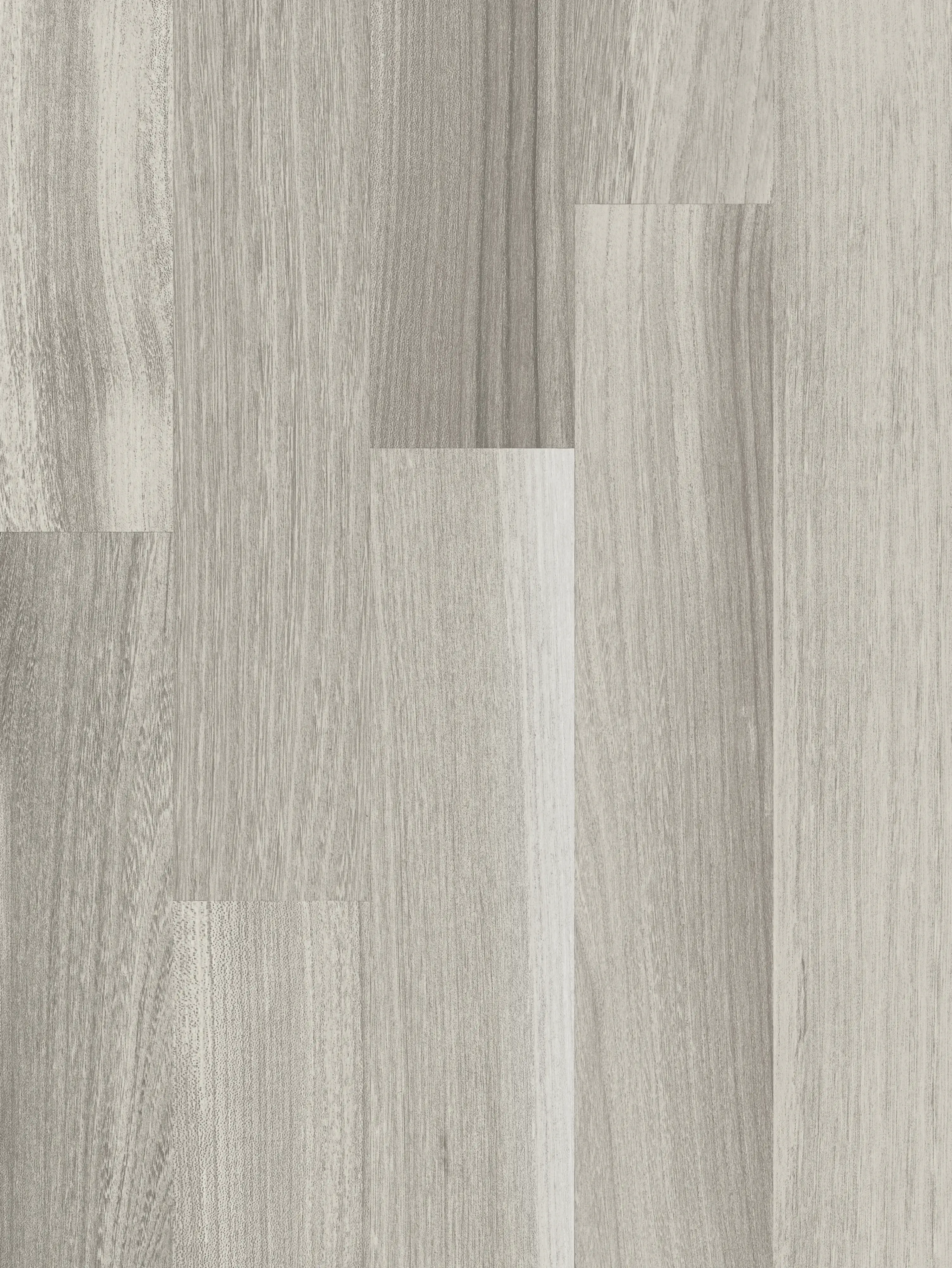 Parador Laminat Basic 200 128,5 x 19,4 cm 7 mm Akazie grau