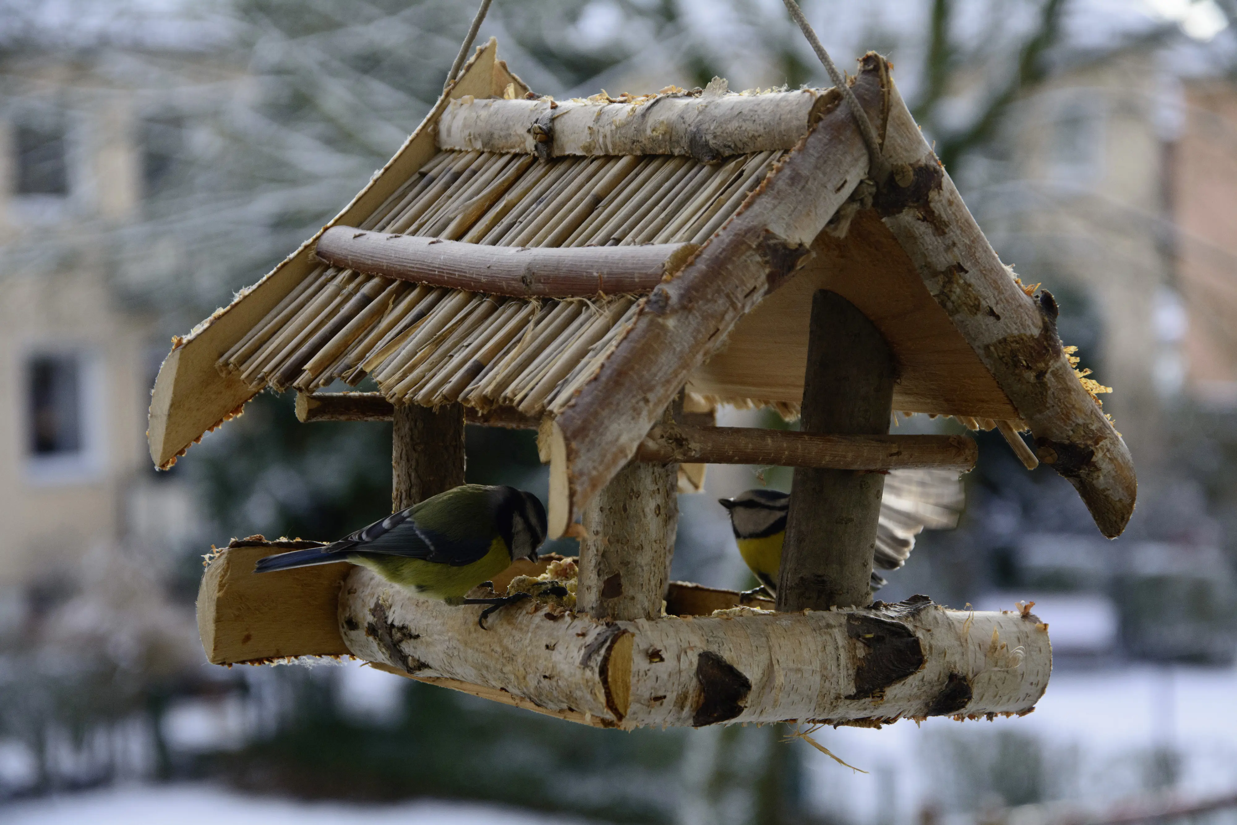 Dobar Vogelfutterhaus Birkenholz mit Bambusdach 30 x 40 x 25 cm 