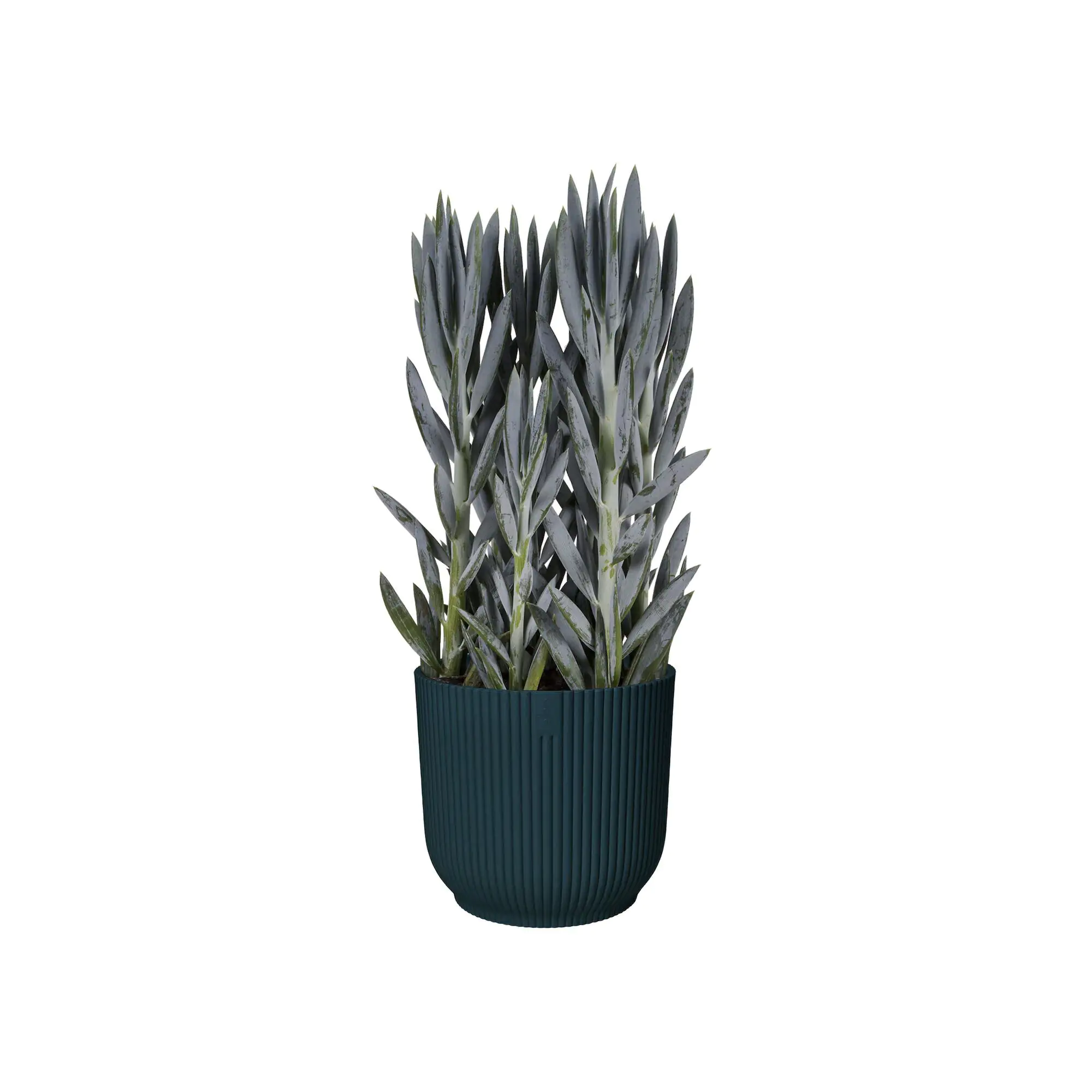 Elho Blumentopf Vibes Fold Ø 16 x 15 cm tiefes blau