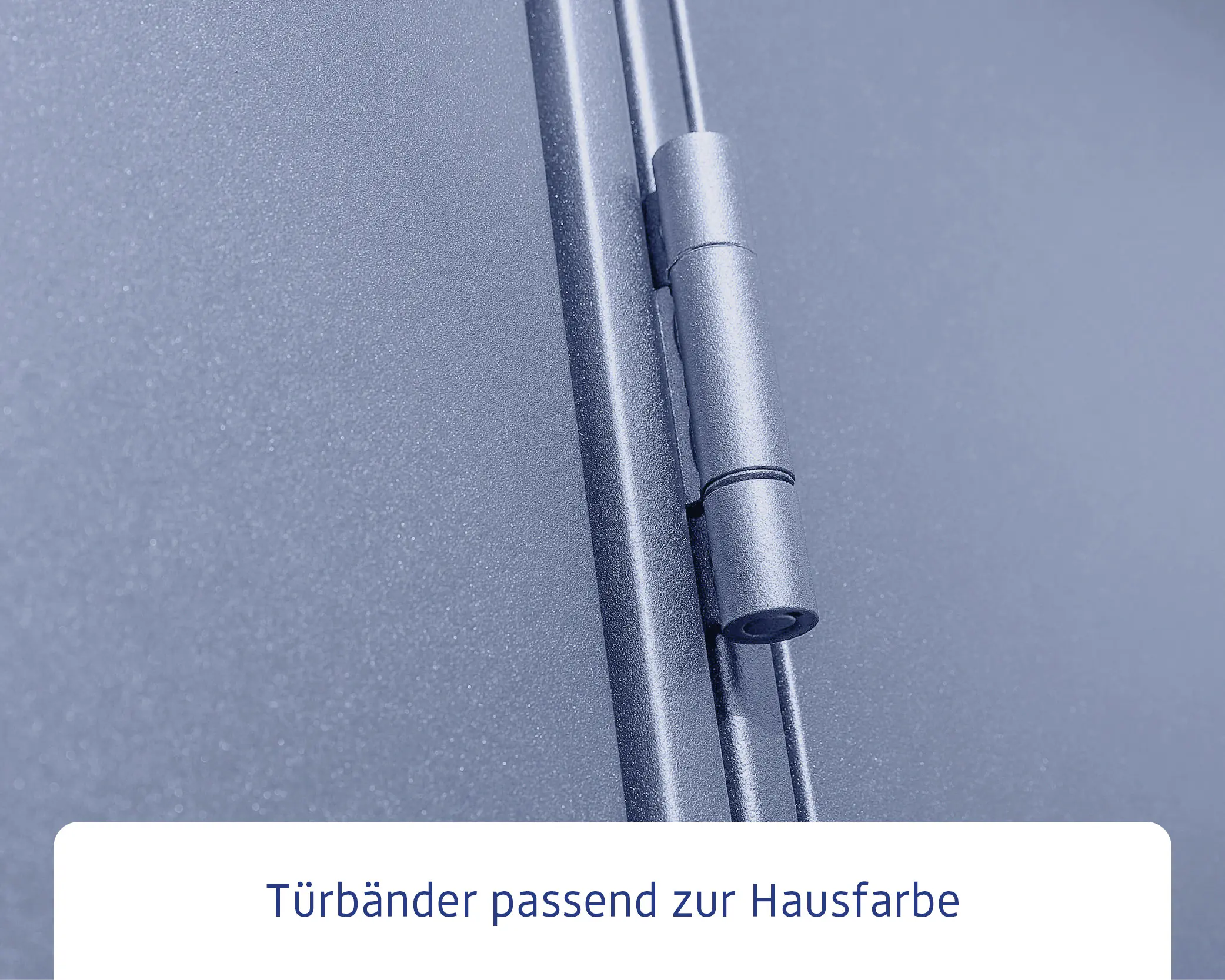 EcoStar Gerätehaus Elegant-S Typ 3 323,6 x 247,7 x 219,4 cm taubenblau