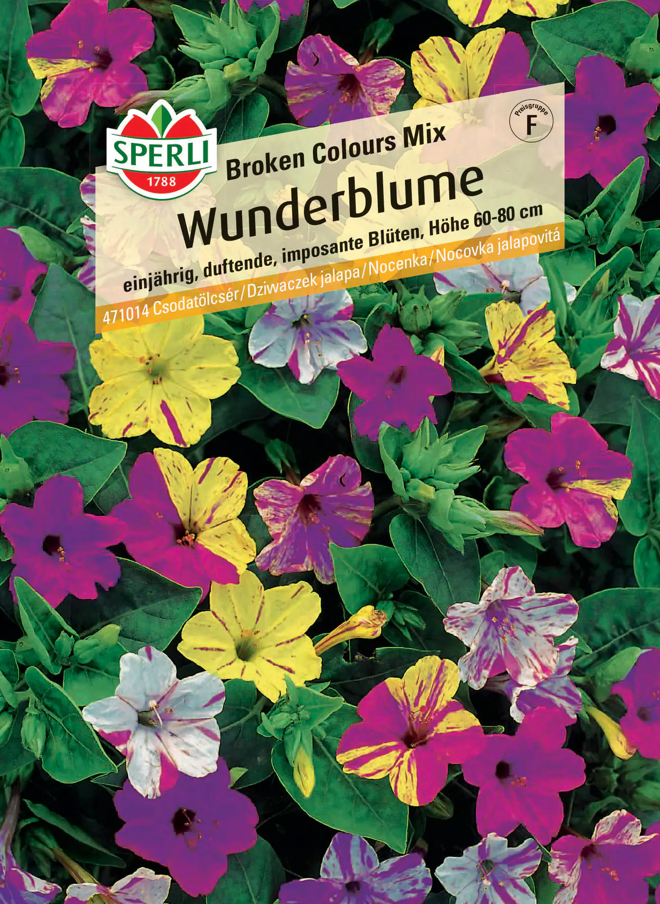 Sperli Wunderblume Broken Colours Mix