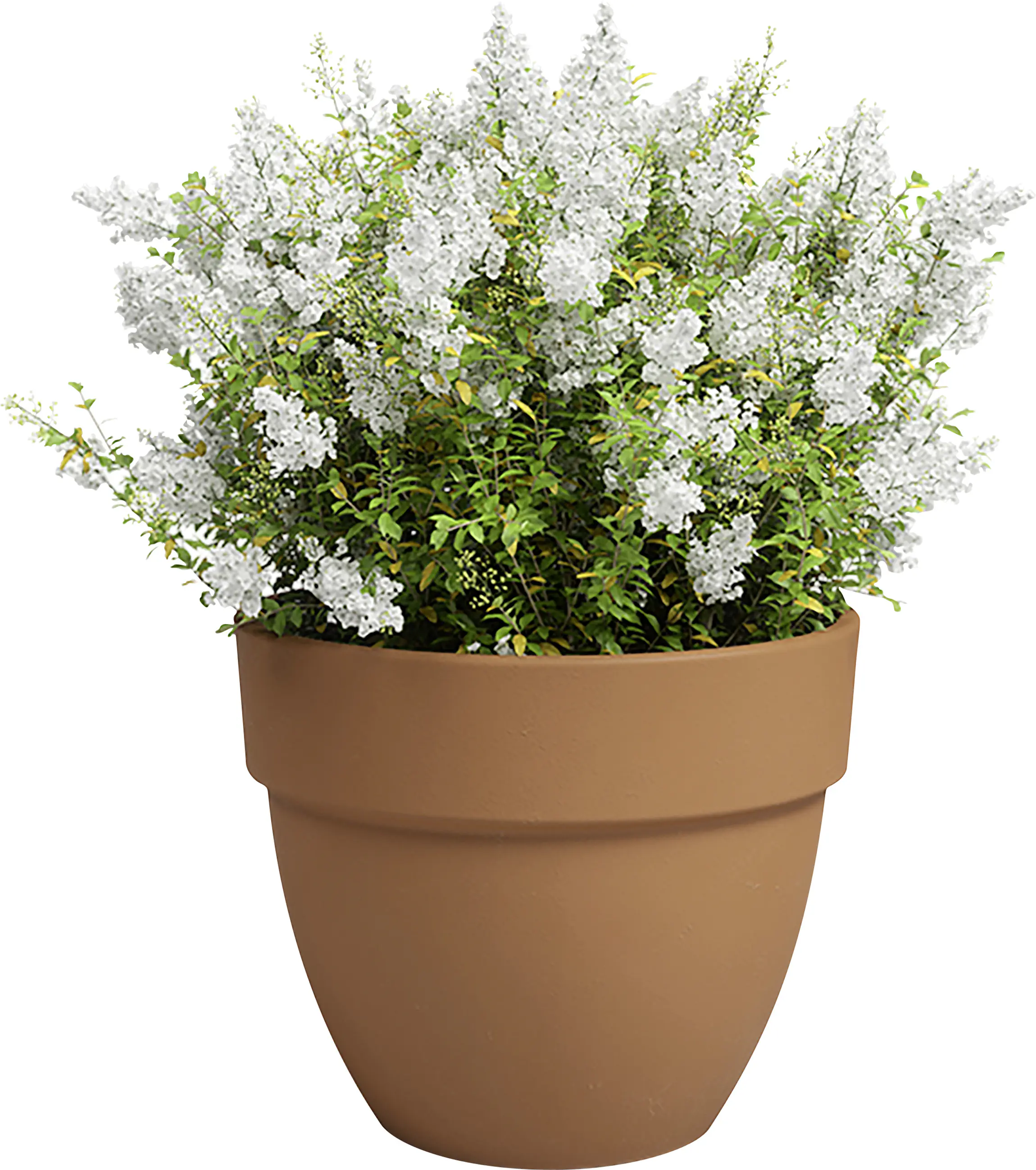 Artevasi Pflanztopf Amália Campana Terrakotta tonrot Ø 24 x 20 cm