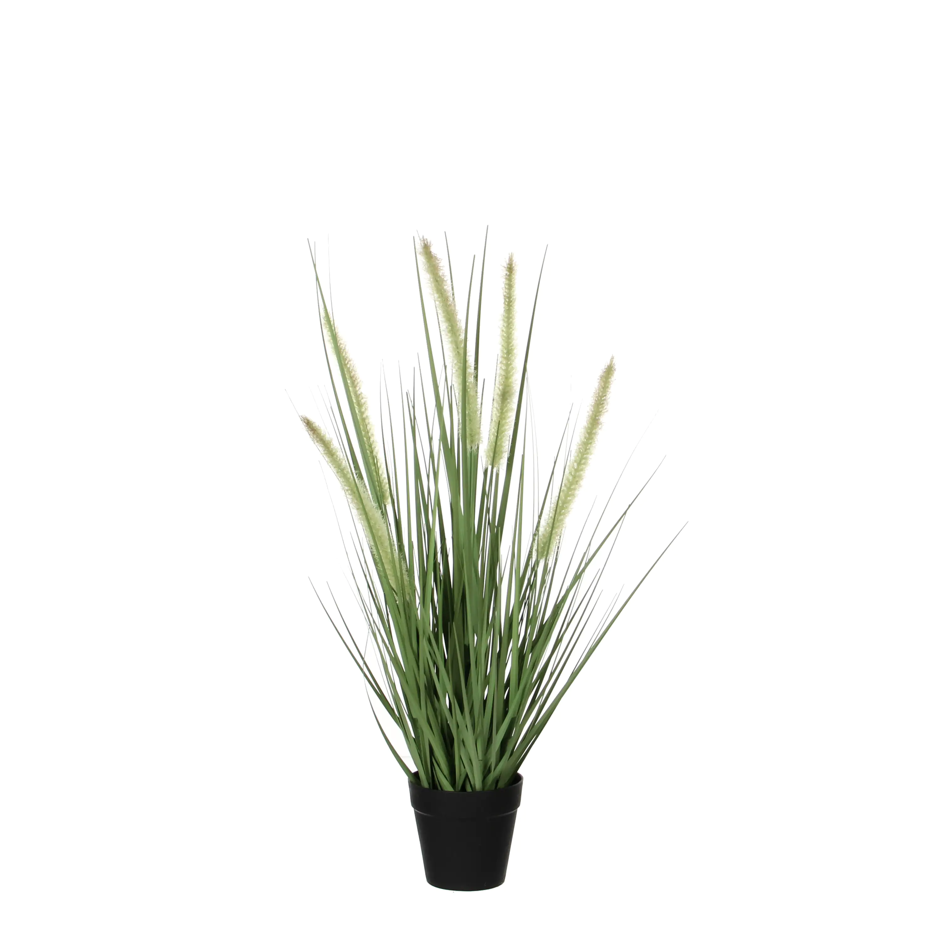 Mica Kunstpflanze Dogtail 53 x 30 cm
