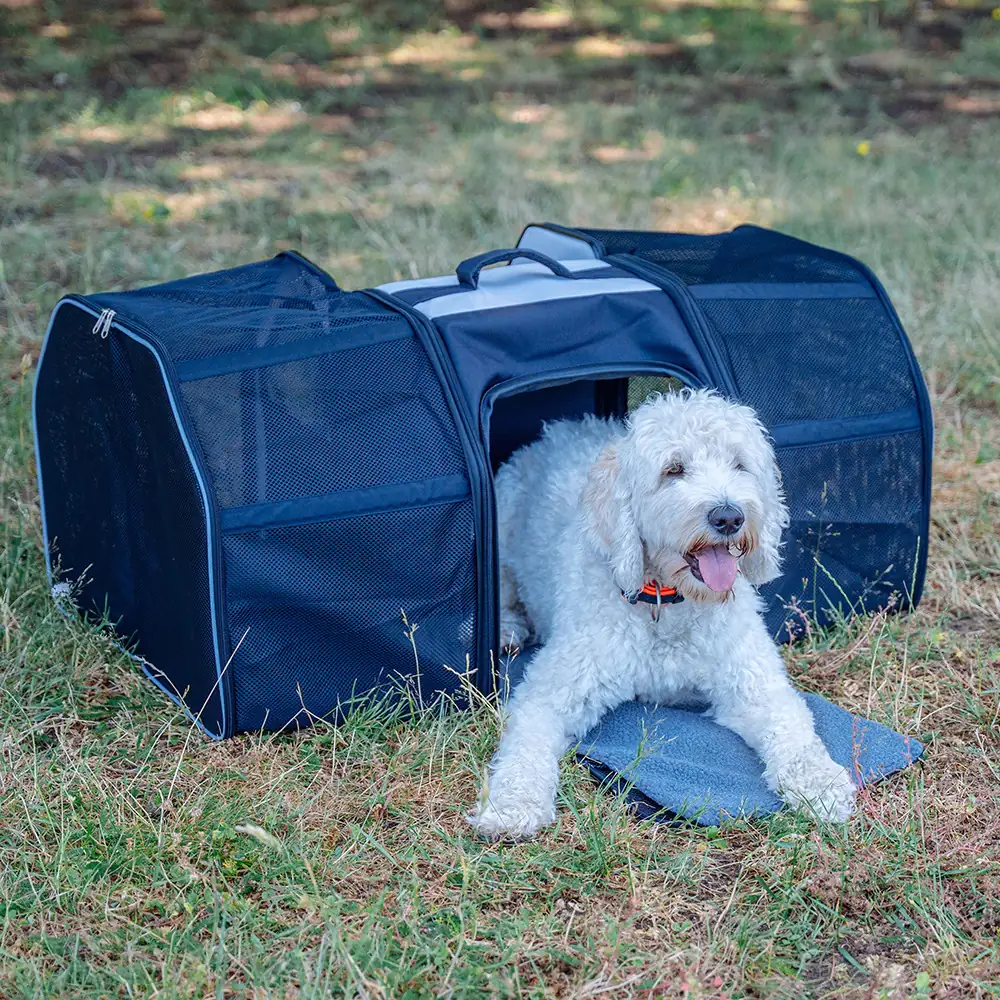 Nobby Tragerucksack Castle cream ausklappbar