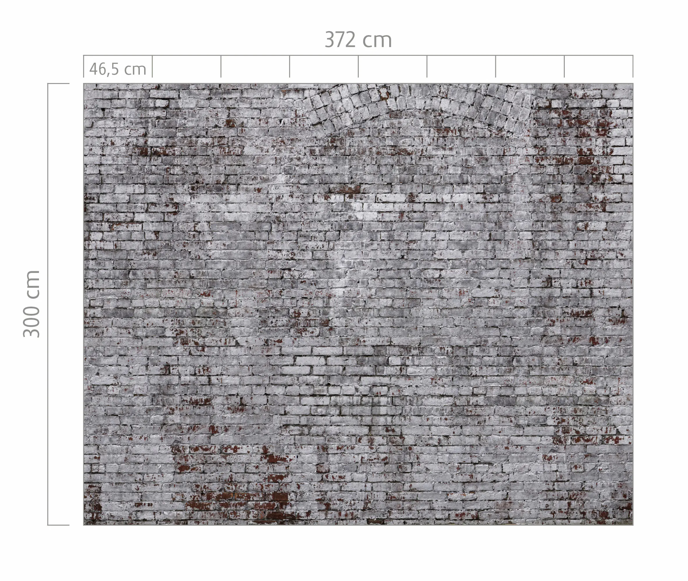 Rasch Vlies Fototapete 940954 Grau Muster & Motive 3 m x 3,72 m