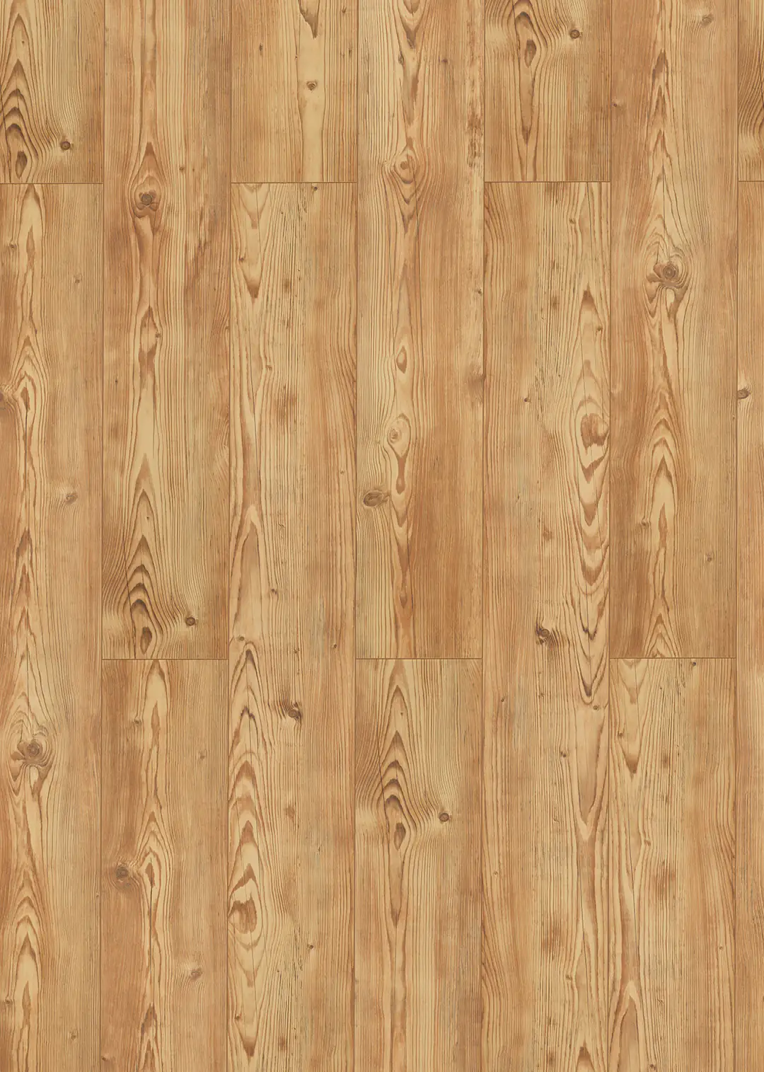 Classen Laminat Grande XXL Angkor