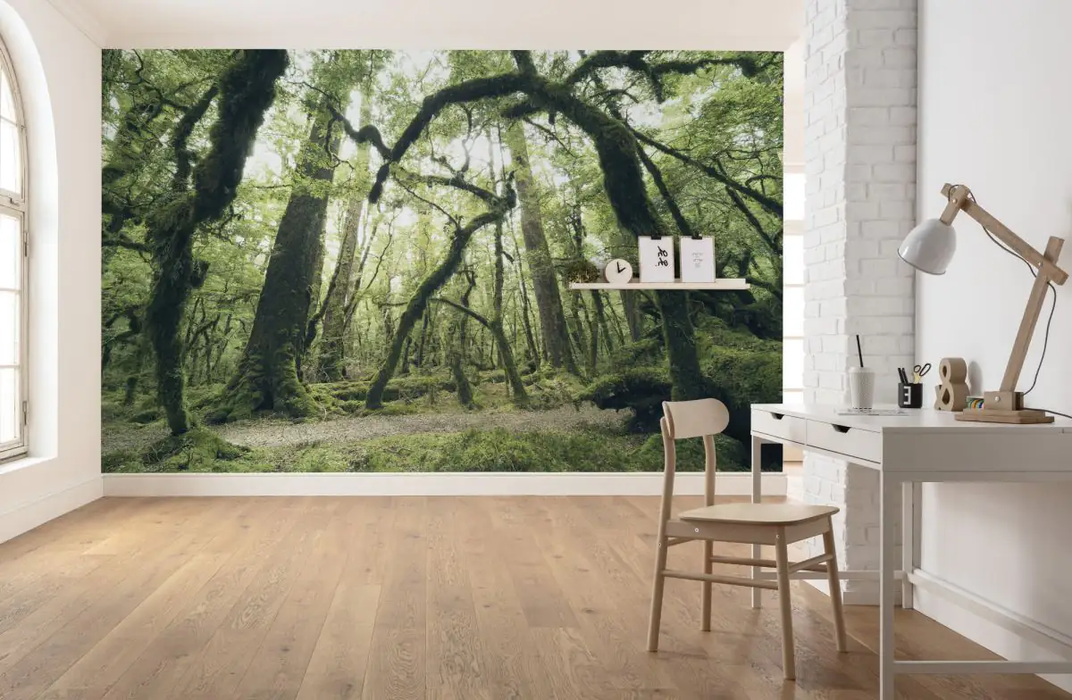 Komar Vlies Fototapete Ancient Green  450 x 280 cm 