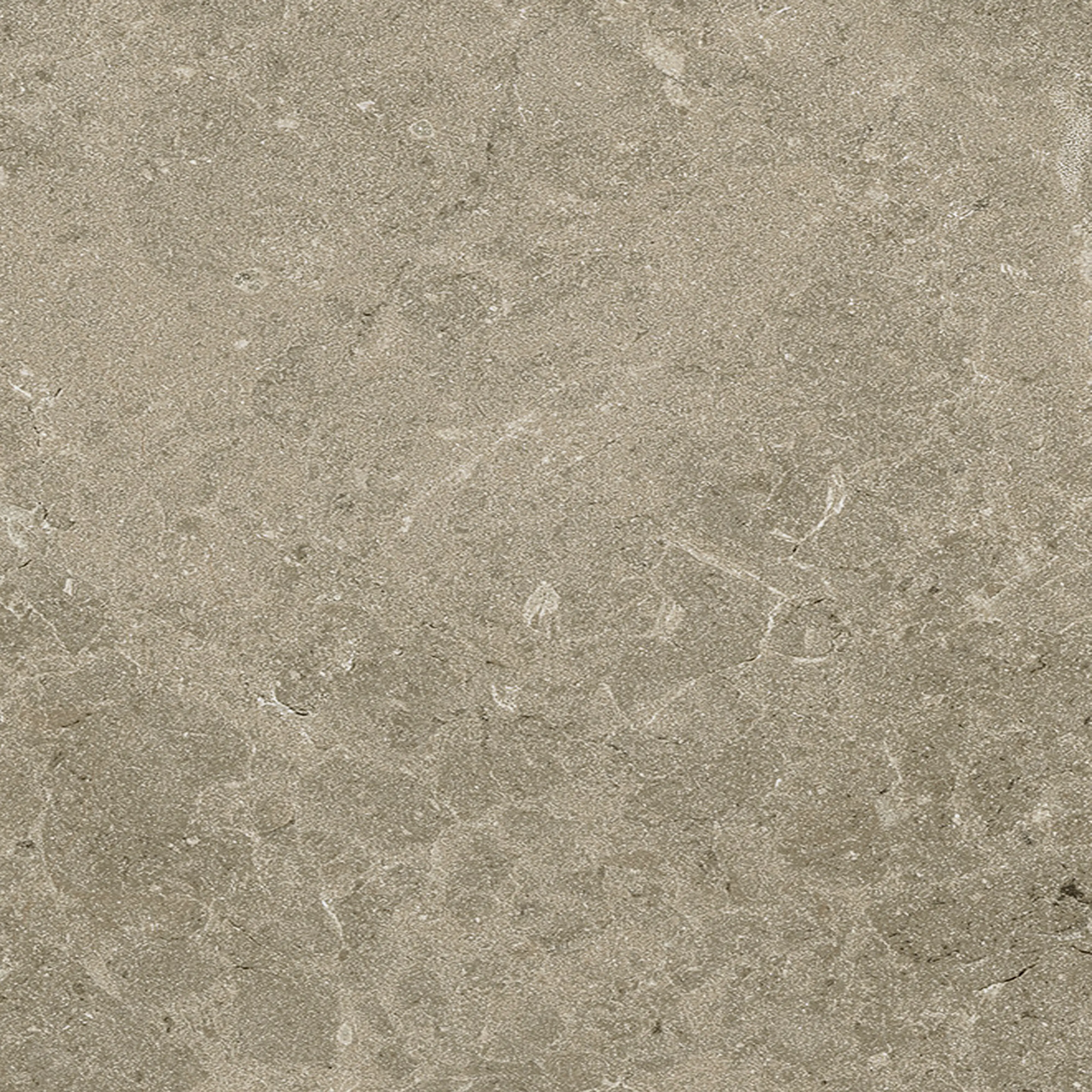 Terrassenplatte Botticino 60 x 60 cm Taupe