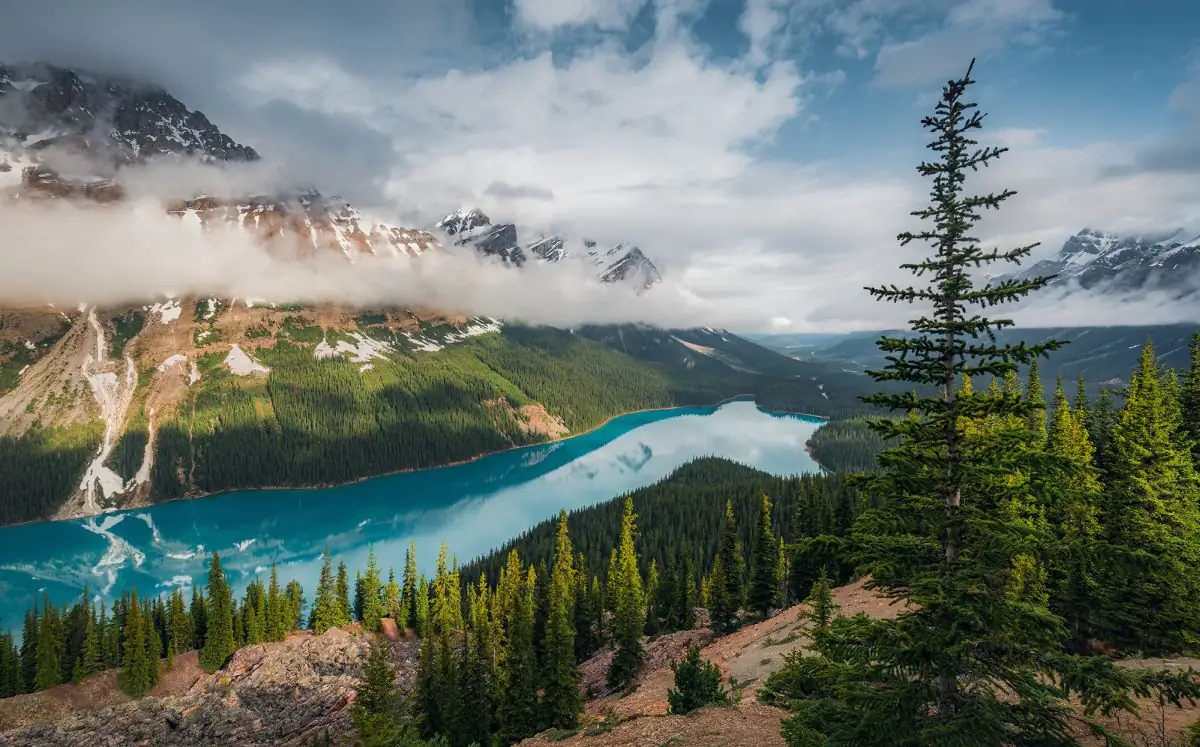 Komar Vlies Fototapete Wonderland Canada 450 x 280 cm 