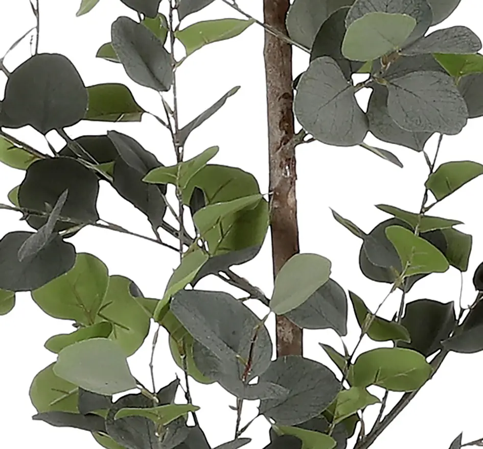 Mica Kunstpflanze Eucalyptus grün 150 cm