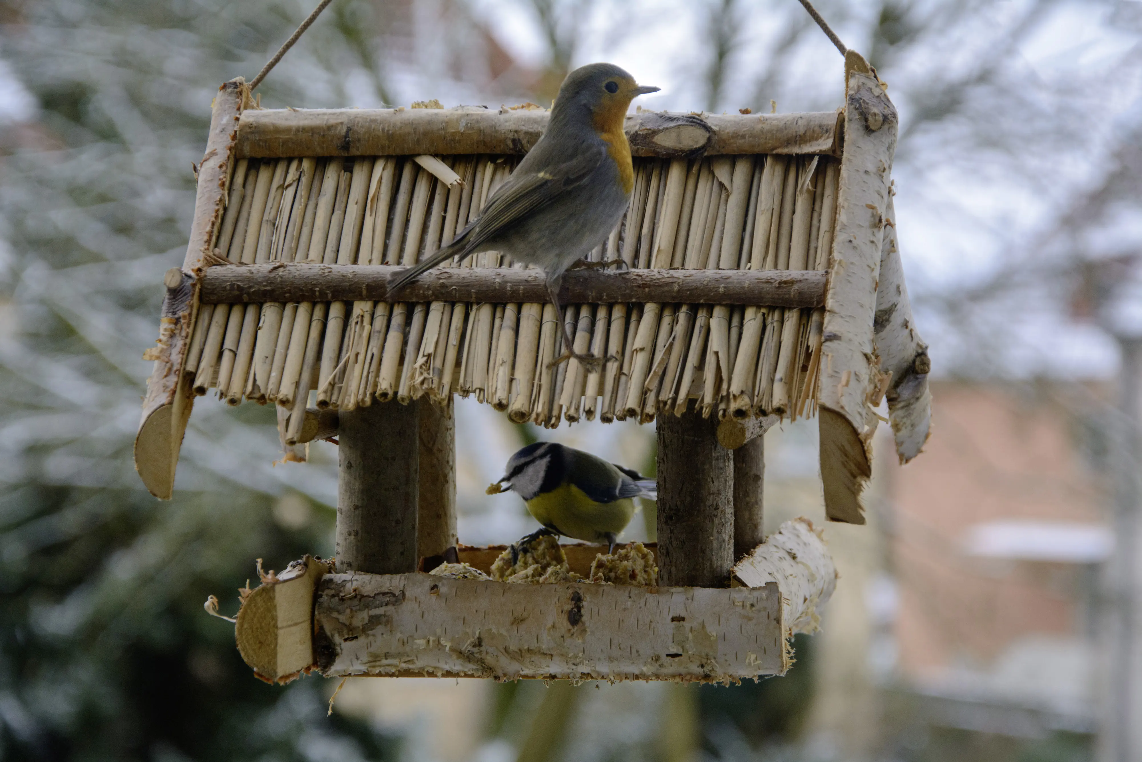 Dobar Vogelfutterhaus Birkenholz mit Bambusdach 30 x 40 x 25 cm 