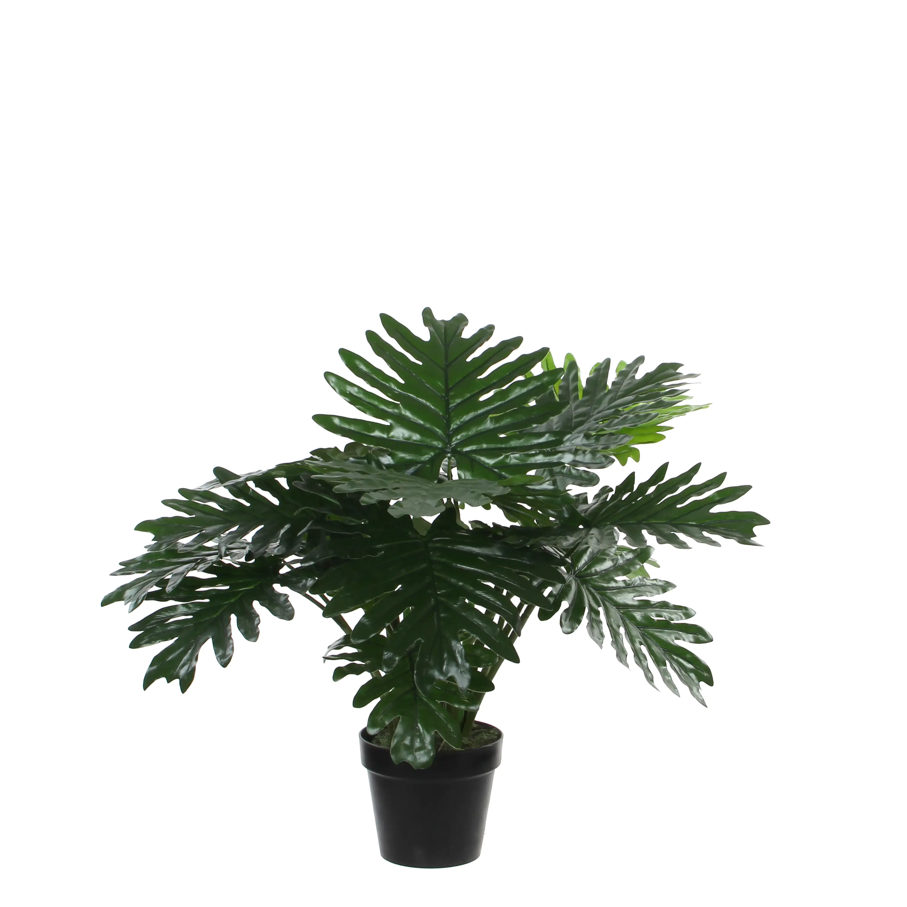 Mica Kunstpflanze Philodendron im Topf 60 x 80 cm