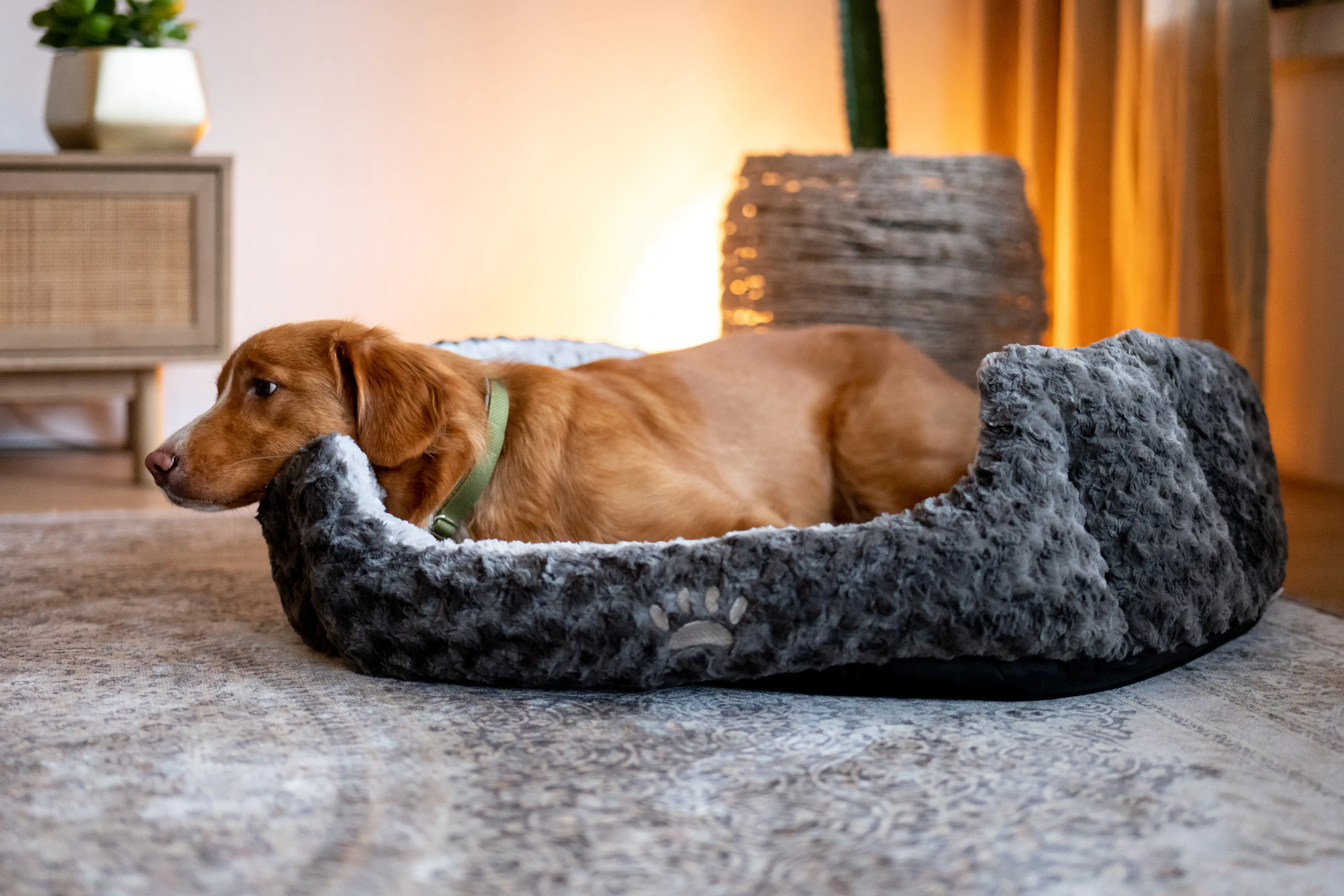 Nobby Komfortbett Seoli oval dunkelgrau/hellgrau