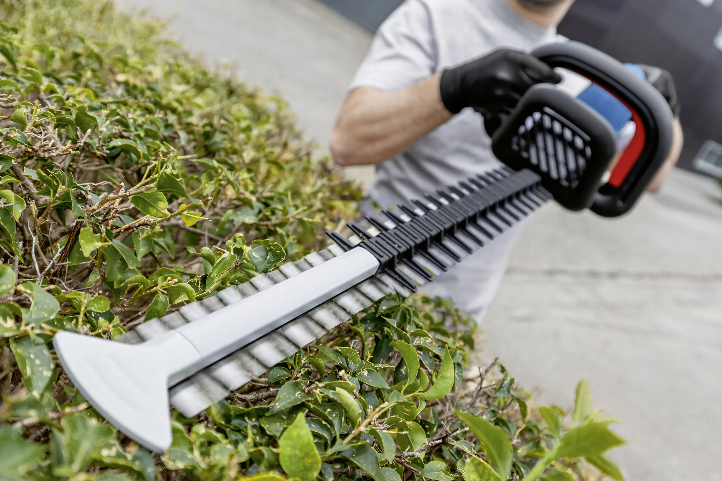 Bosch Professional Akku-Heckenschere GHE 18V-60 Solo