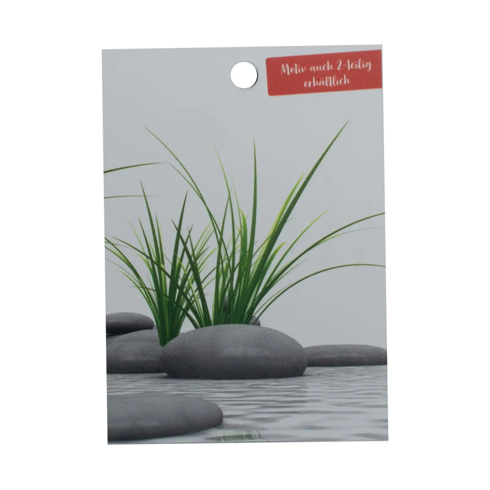Schulte Handmuster Duschrückwand Decodesign Foto Zen Steine + Gras