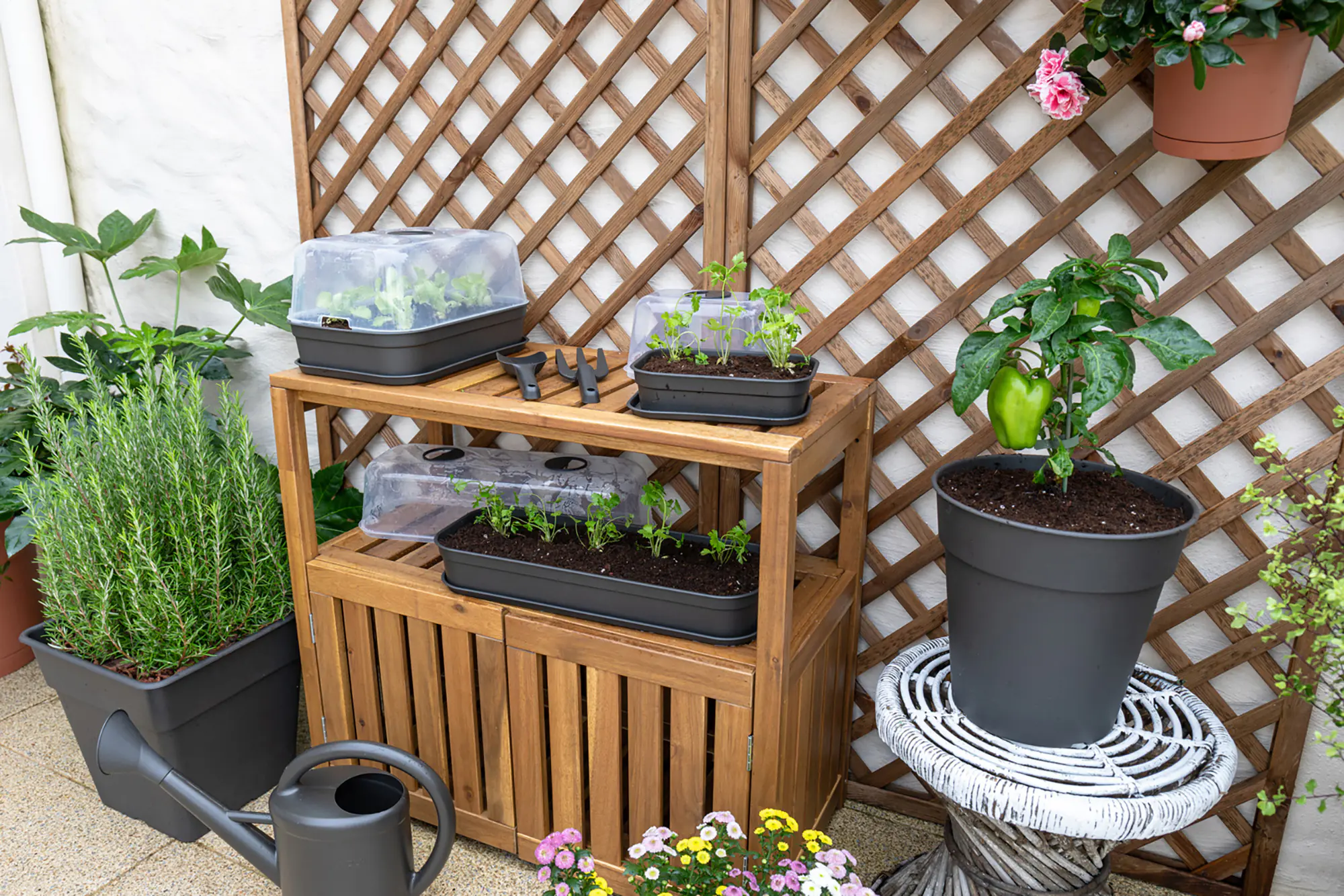Artevasi Anzuchttopf Madagascar Kunststoff trockengrün Ø 13 x 12 cm 