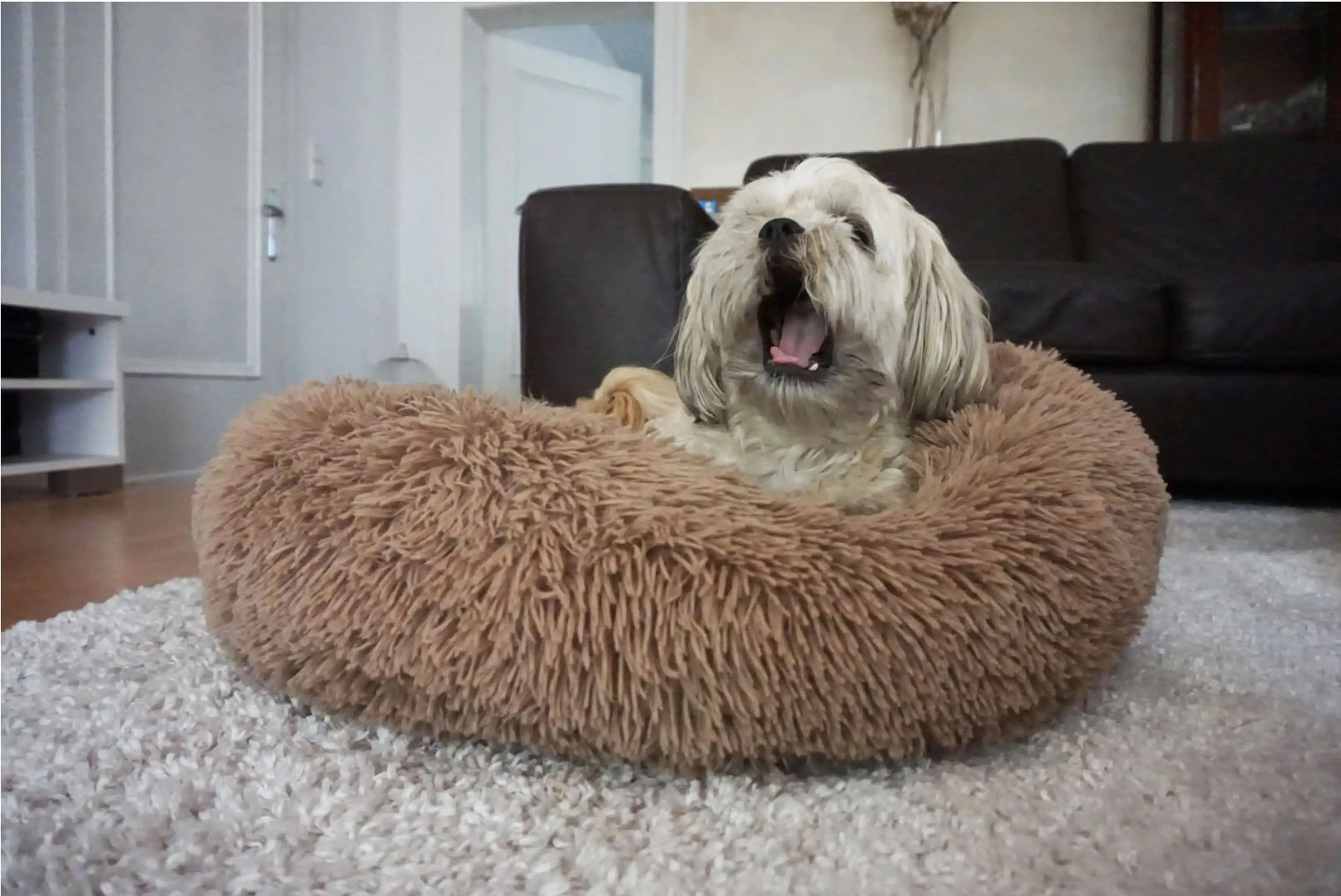 Nobby Kuschelbett Donut Classic Esla braun