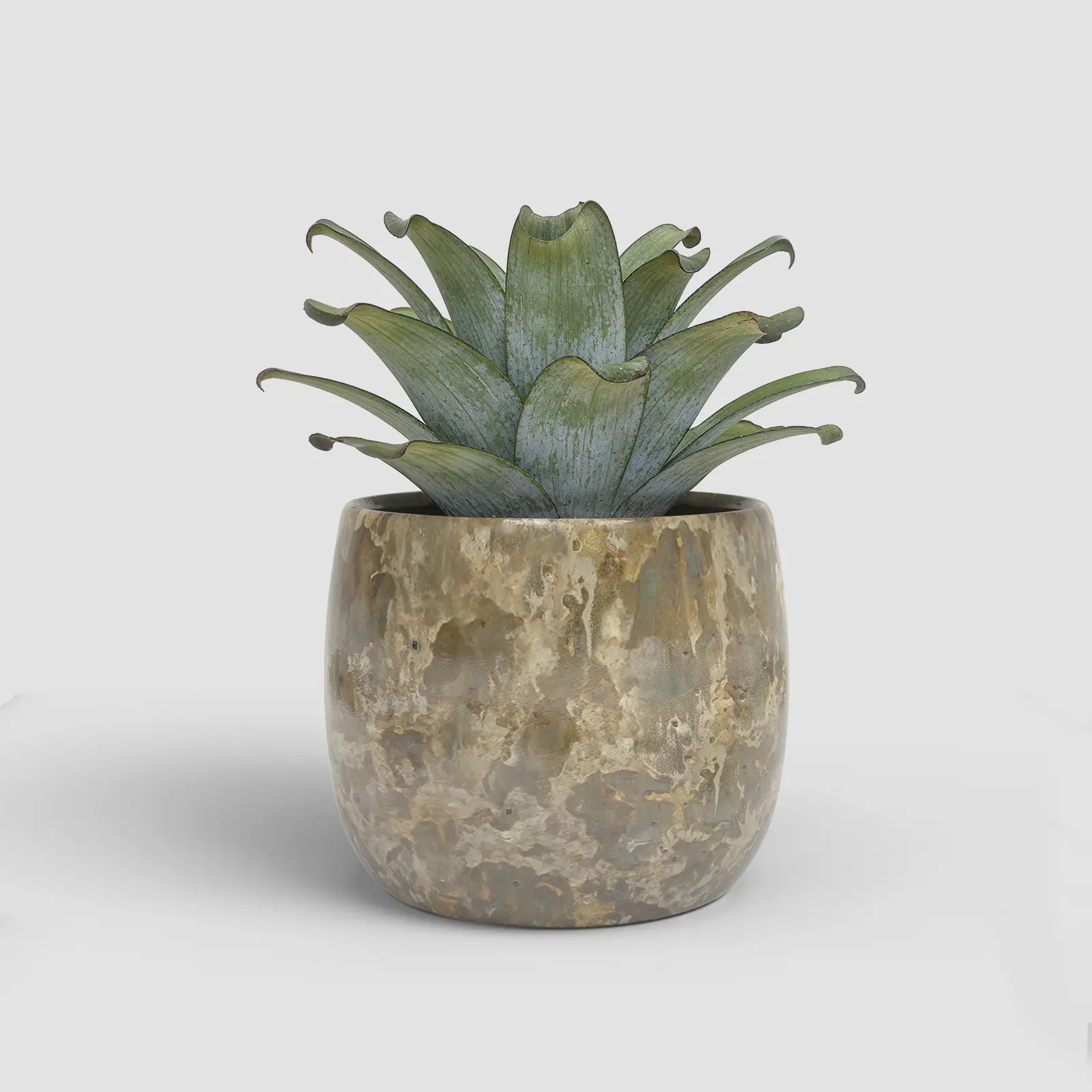 Artevasi Übertopf Callisto Keramik Ø 26 x 24 cm goldgrün