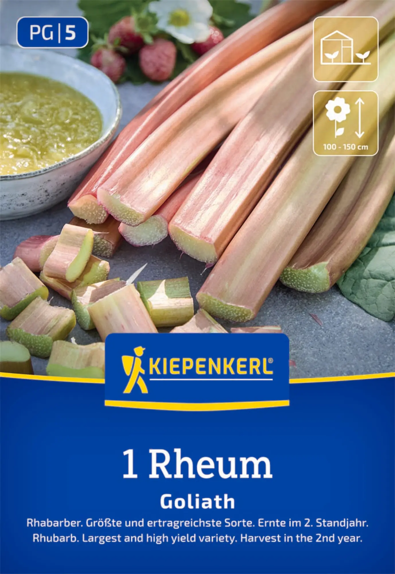 Kiepenkerl Pflanzgut Rhabarber Goliath Rheum rhabarbarum 1 Stück