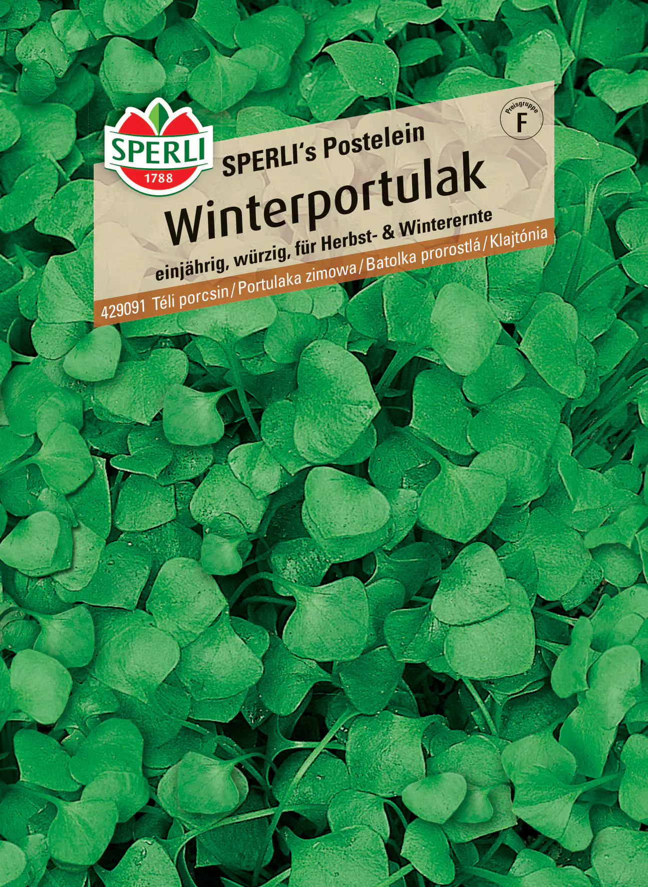 Sperli Winterportulak Sperli 's Postelein