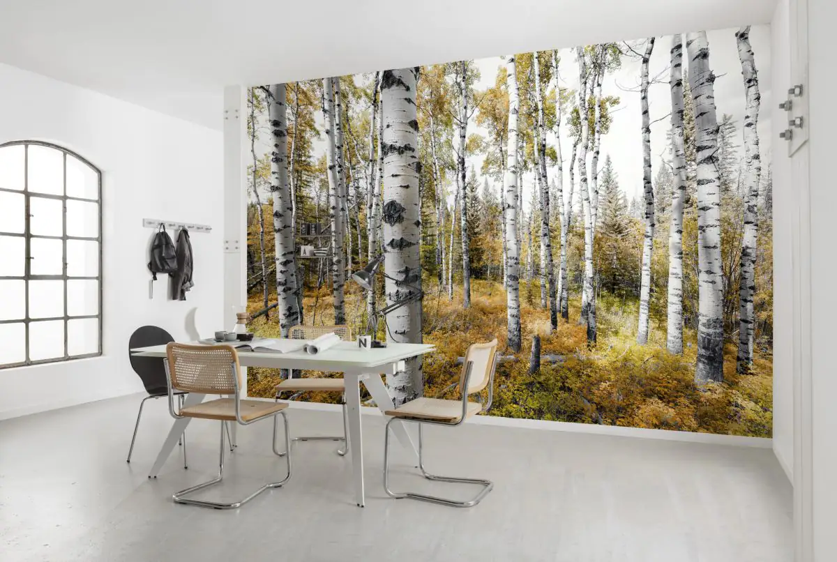 Komar Vlies Fototapete Colorful Aspenwoods 450 x 280 cm 