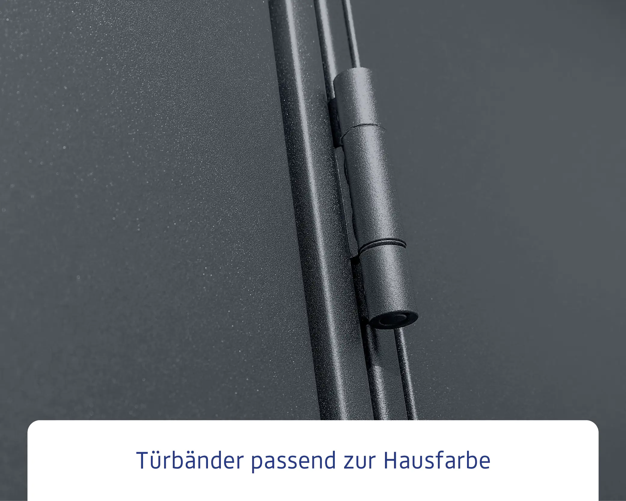EcoStar Gerätehaus Elegant-P Typ 2 anthrazitgrau 247,9 x 283,4 x 232,3 cm
