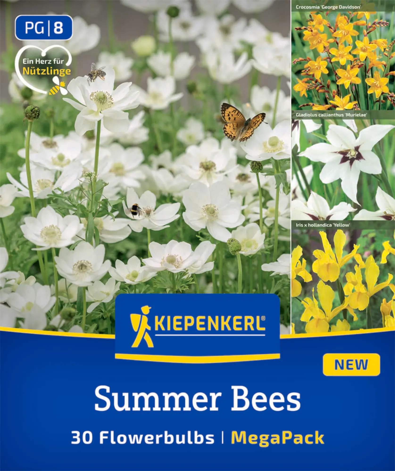 Kiepenkerl Saatgut Blumenzwiebelmischung Summer Bees Mega-Pack für ca. 30 Pflanzen