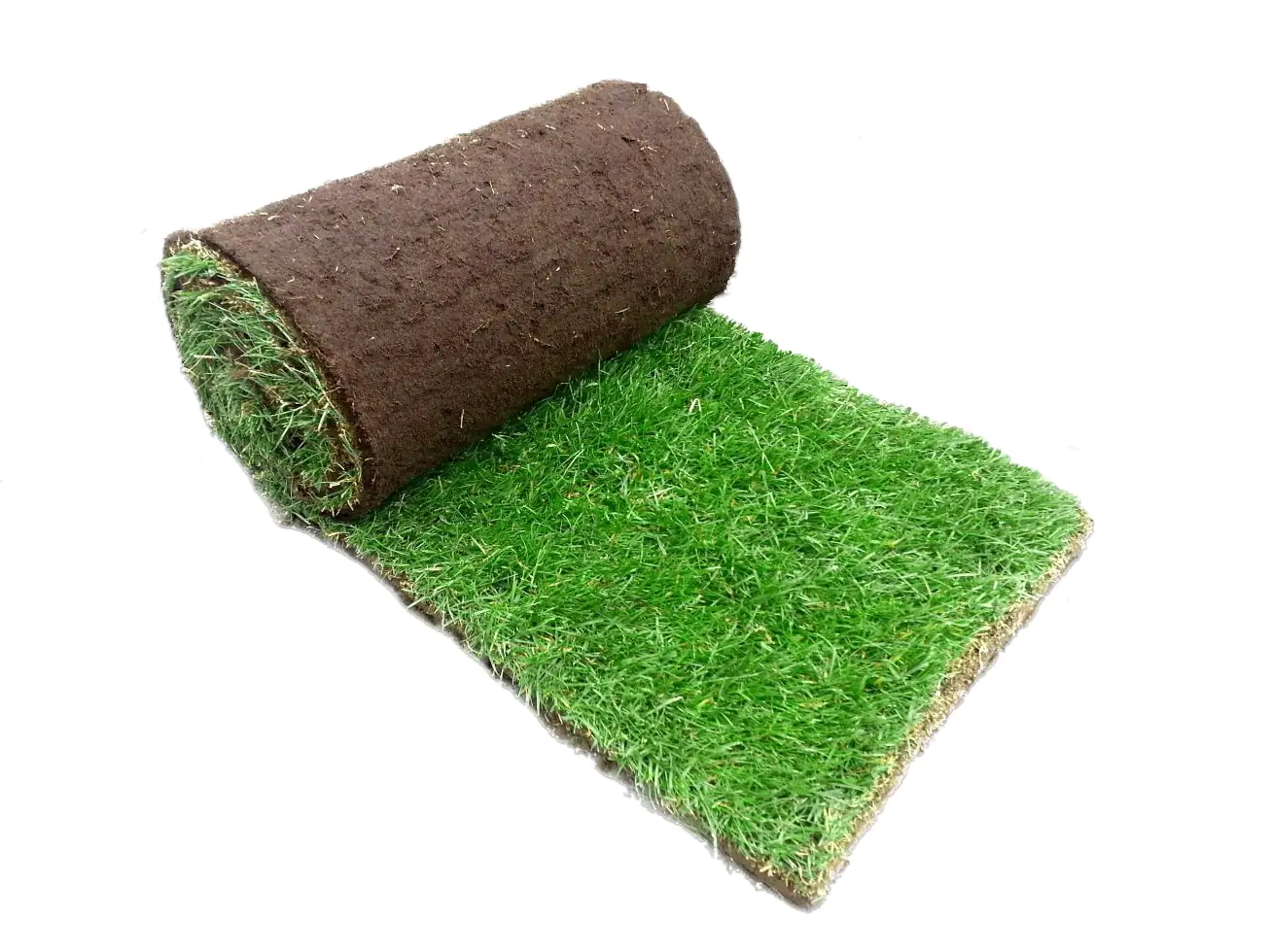Premoplan Rollrasen Premium ab 30 m²