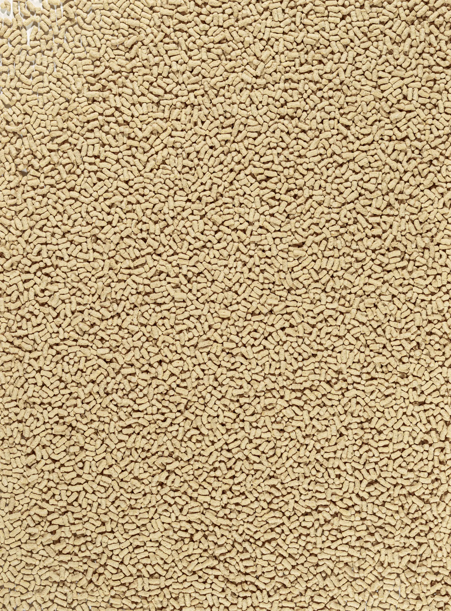 Tetra Pond Teichfutter Sticks 1 L