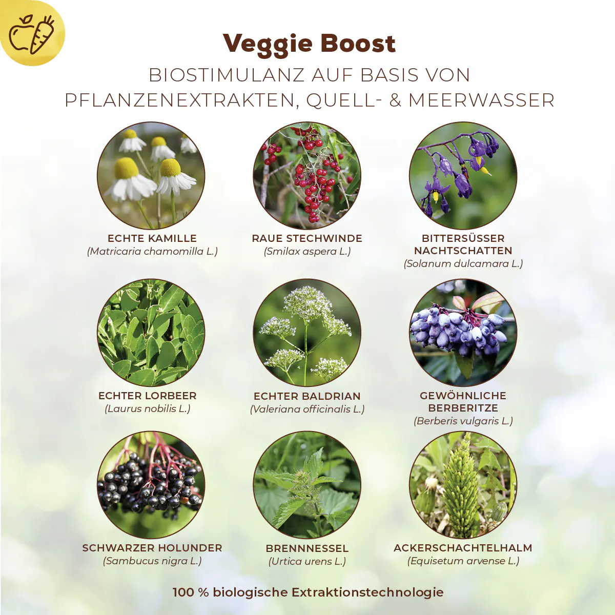 Solabiol Veggie Boost Pflanzenstärkungsmittel 250 ml
