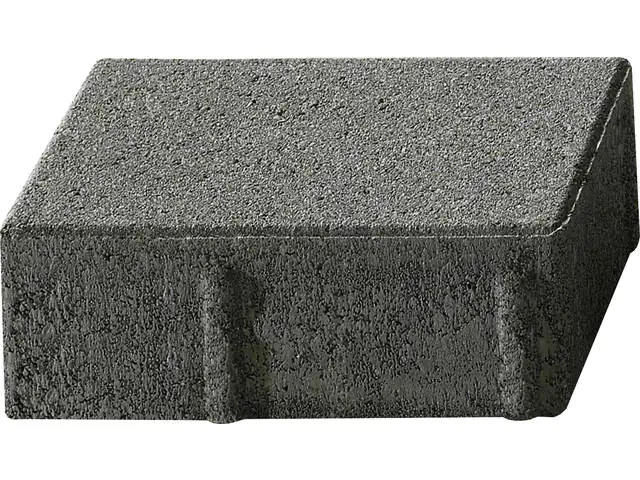Kann Pflasterstein Rechteckpflaster 20 x 10 x 8 cm anthrazit