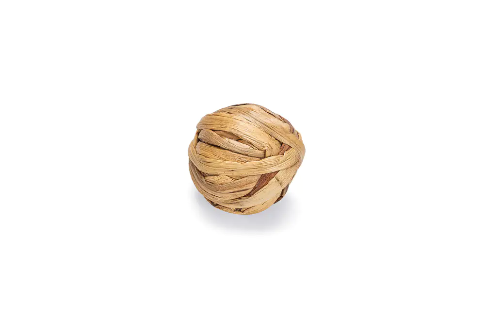 Beeztees Nagerspielzeug Ø 5,5 cm Wasserhyazinthe
