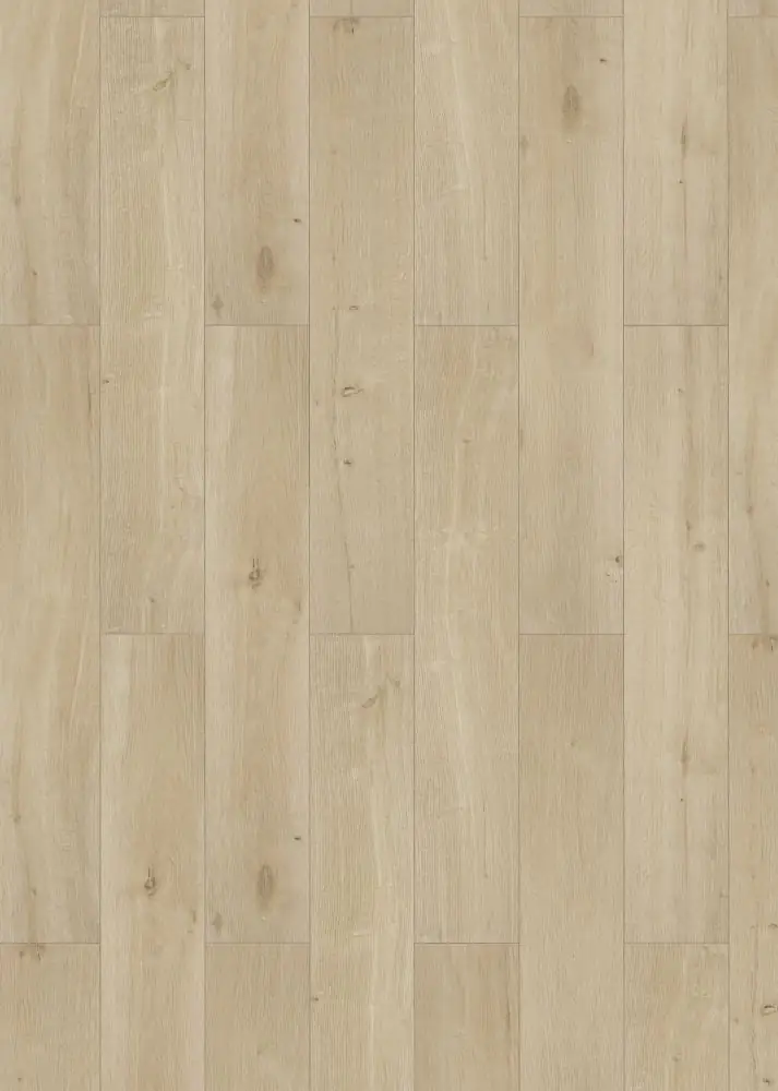 Classen Laminat Edition 7 V Eiche Nebraska