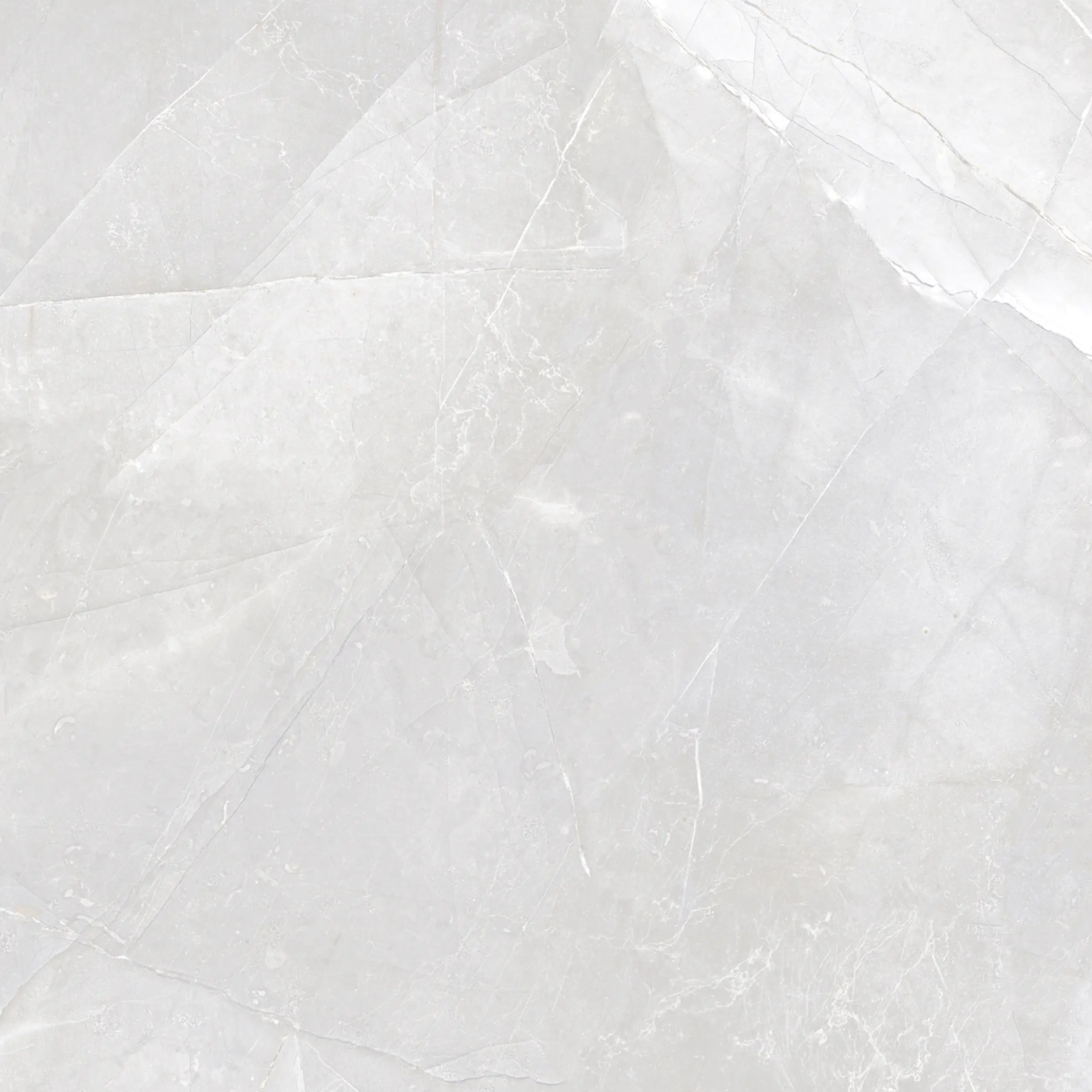 Bodenfliese Feinsteinzeug Armani 60 x 60 cm light grey