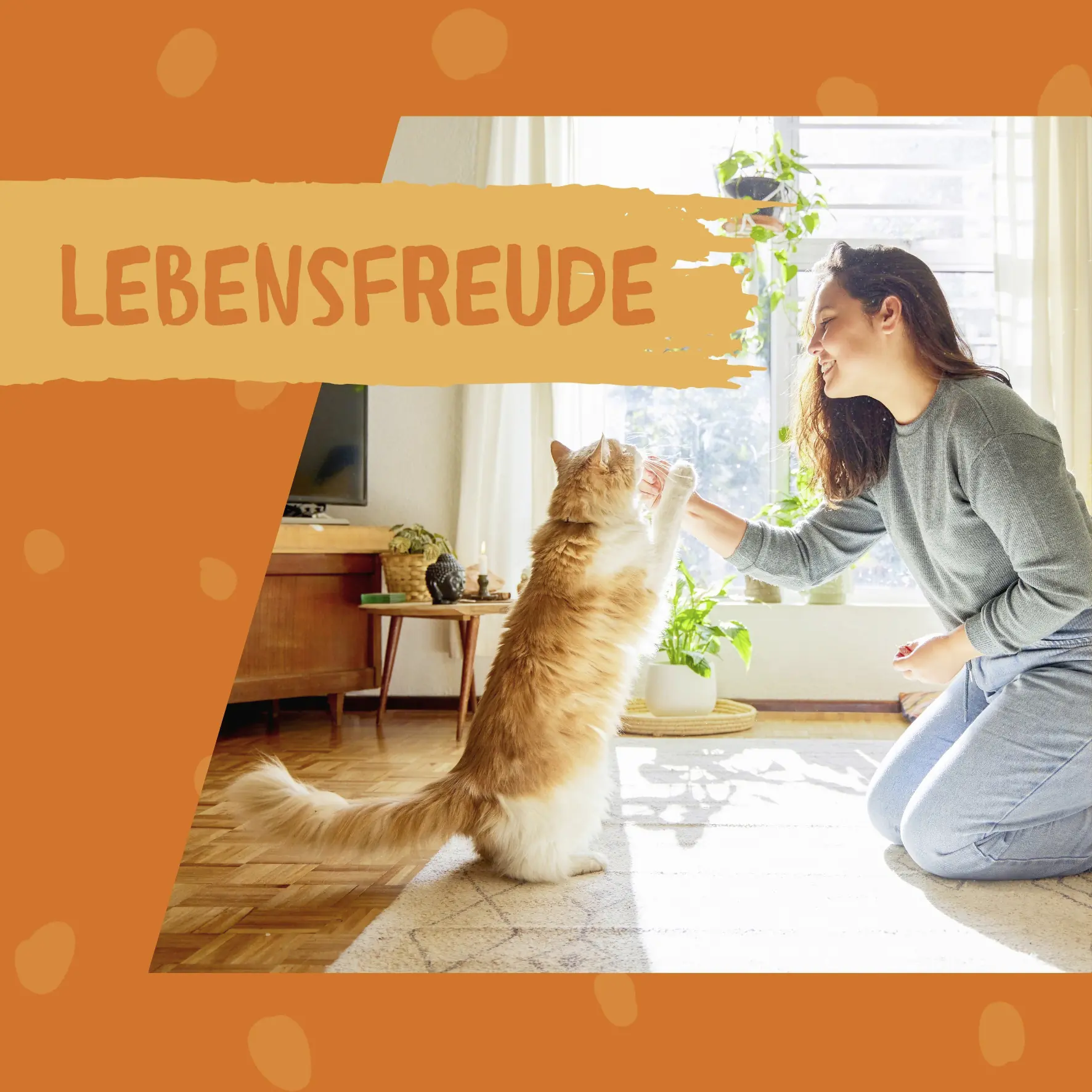 Dokas Nasch-Creme mit Käse 90 g (Katze)