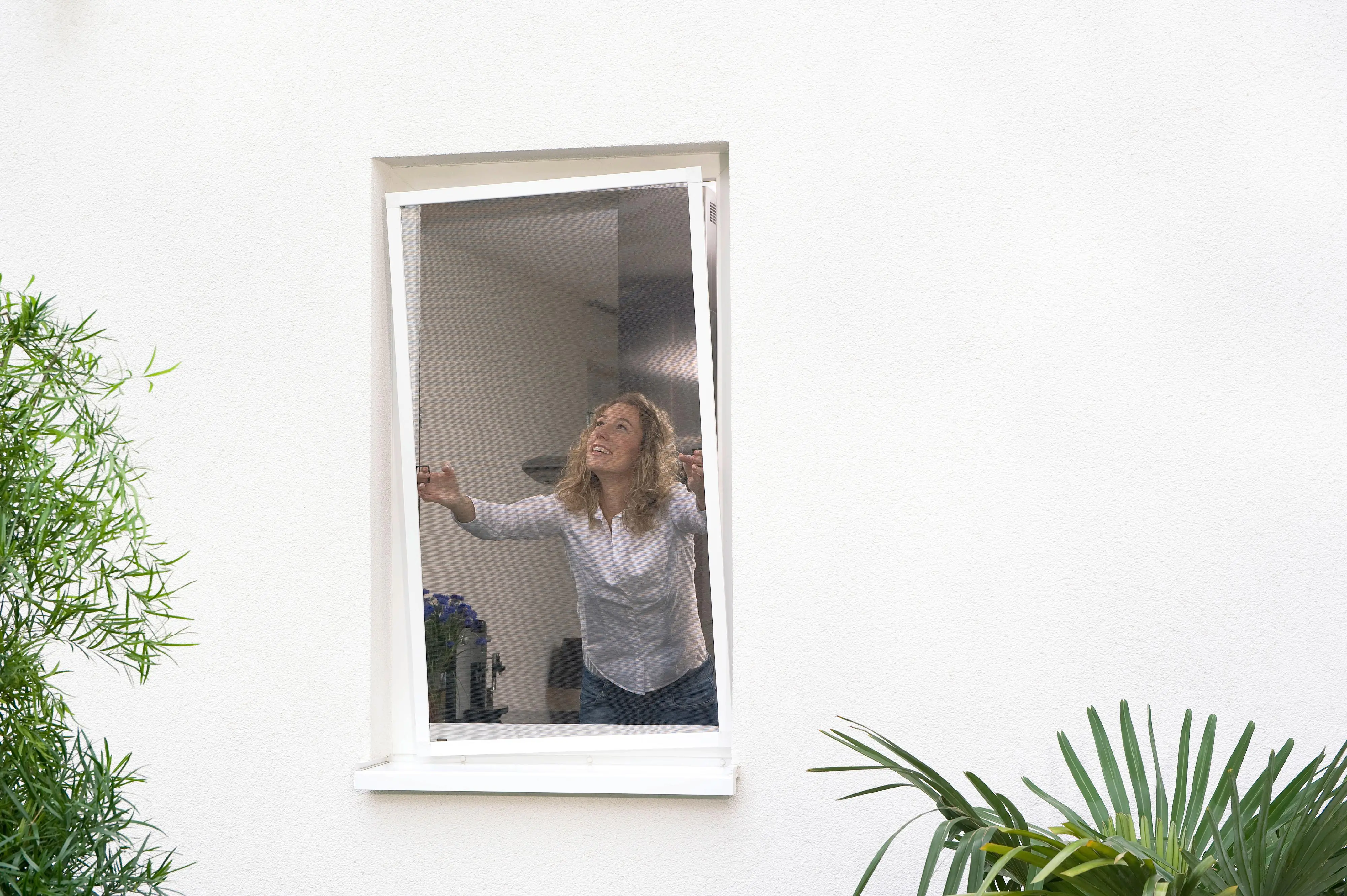 tesa Insektenschutz-Fenster COMFORT 120 x 150 cm anthrazit