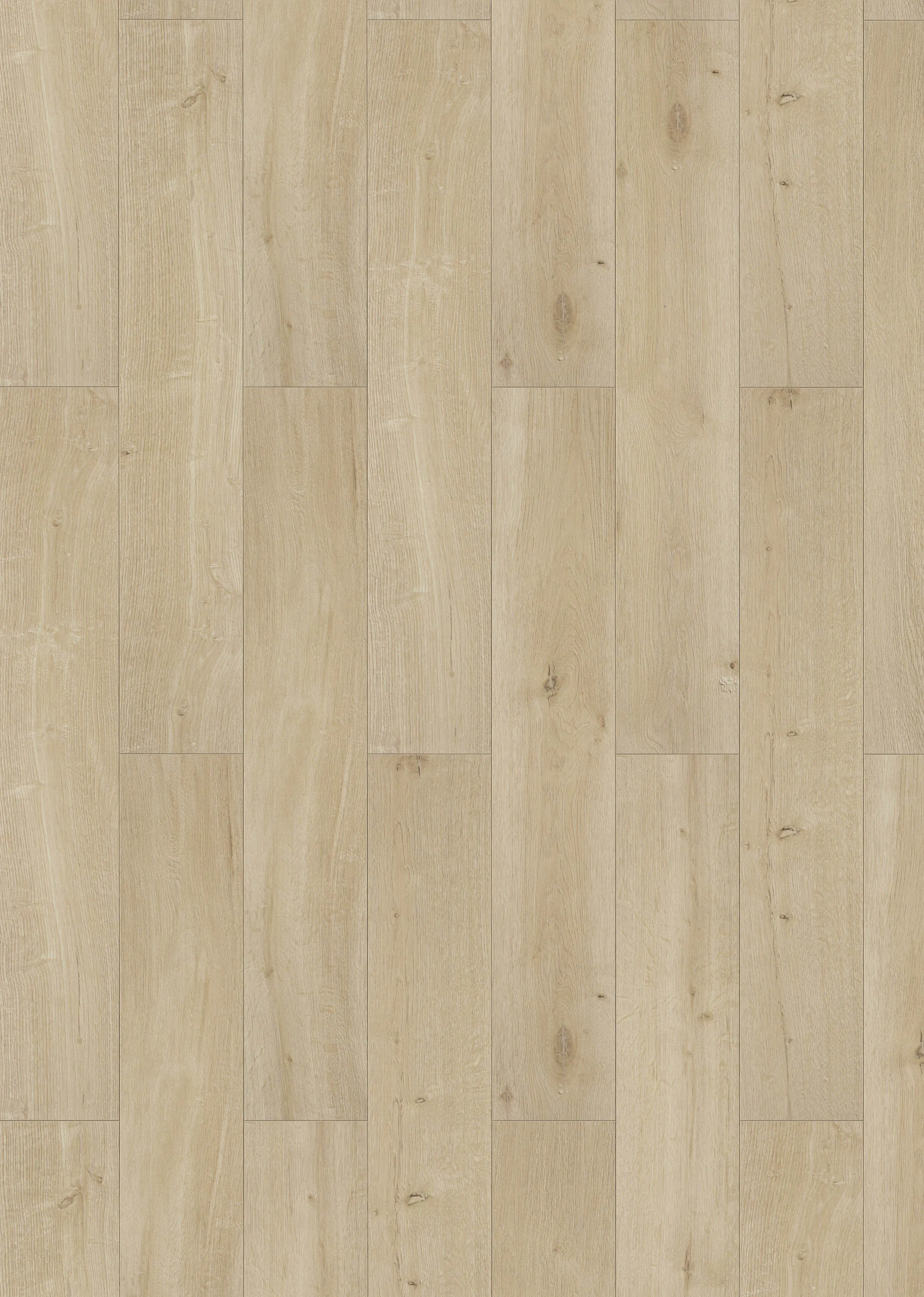 Classen Laminat Edition 7 V Eiche Nebraska