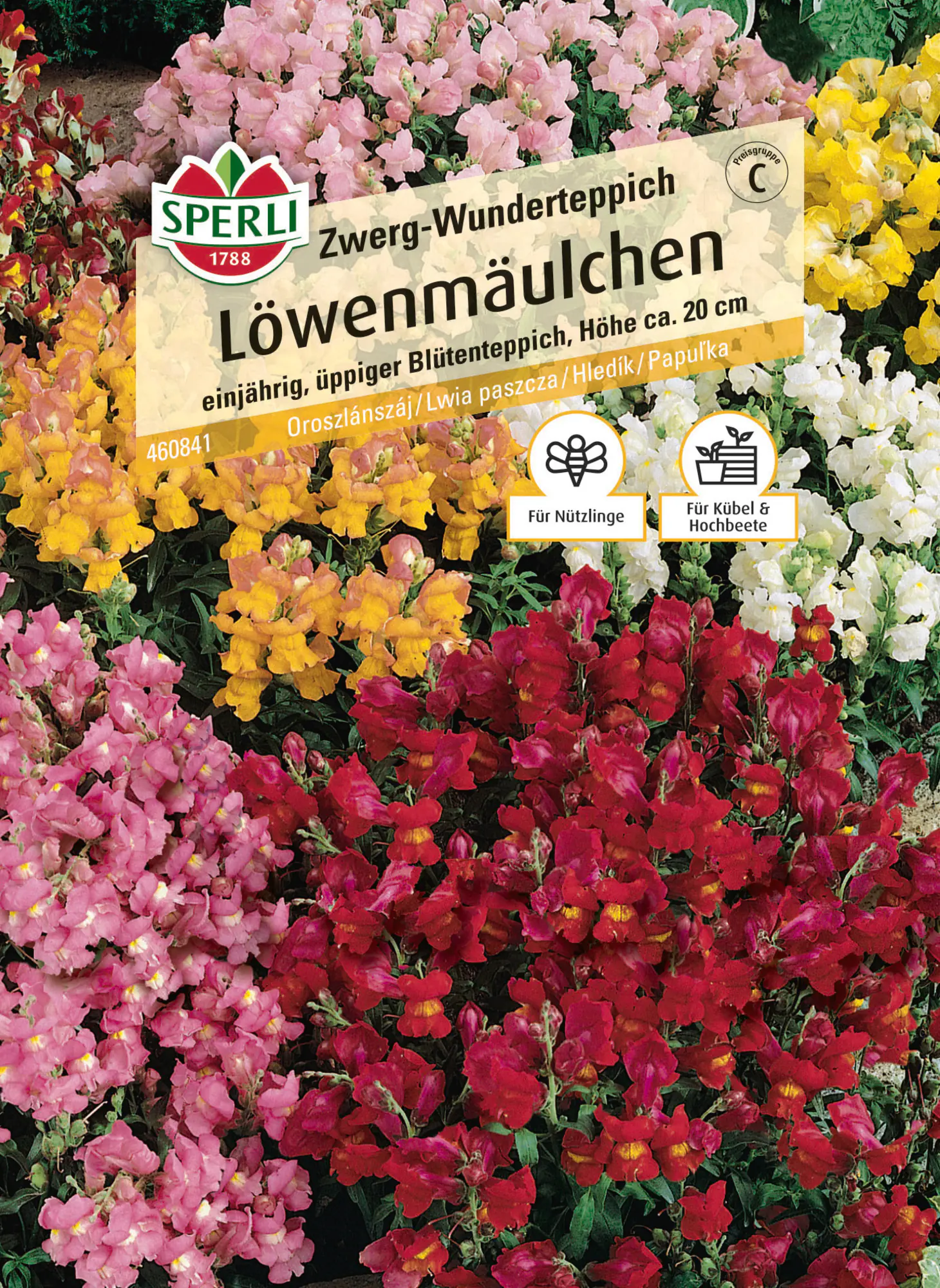 Sperli Löwenmäulchensamen Zwerg-Wunderteppich für ca. 60 Pflanzen
