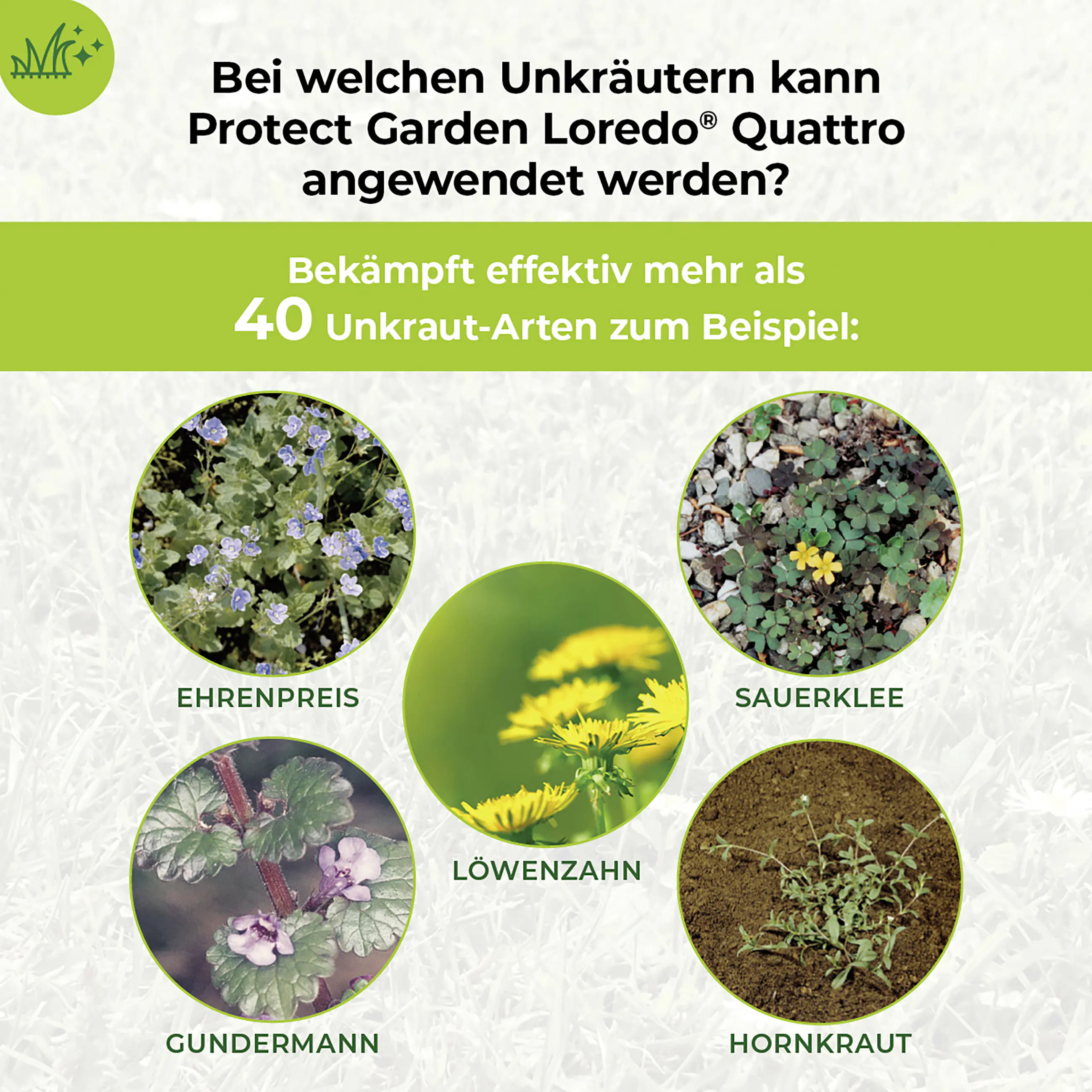 Protect Garden Loredo Quattro Universal Rasenunkrautfrei 400 ml