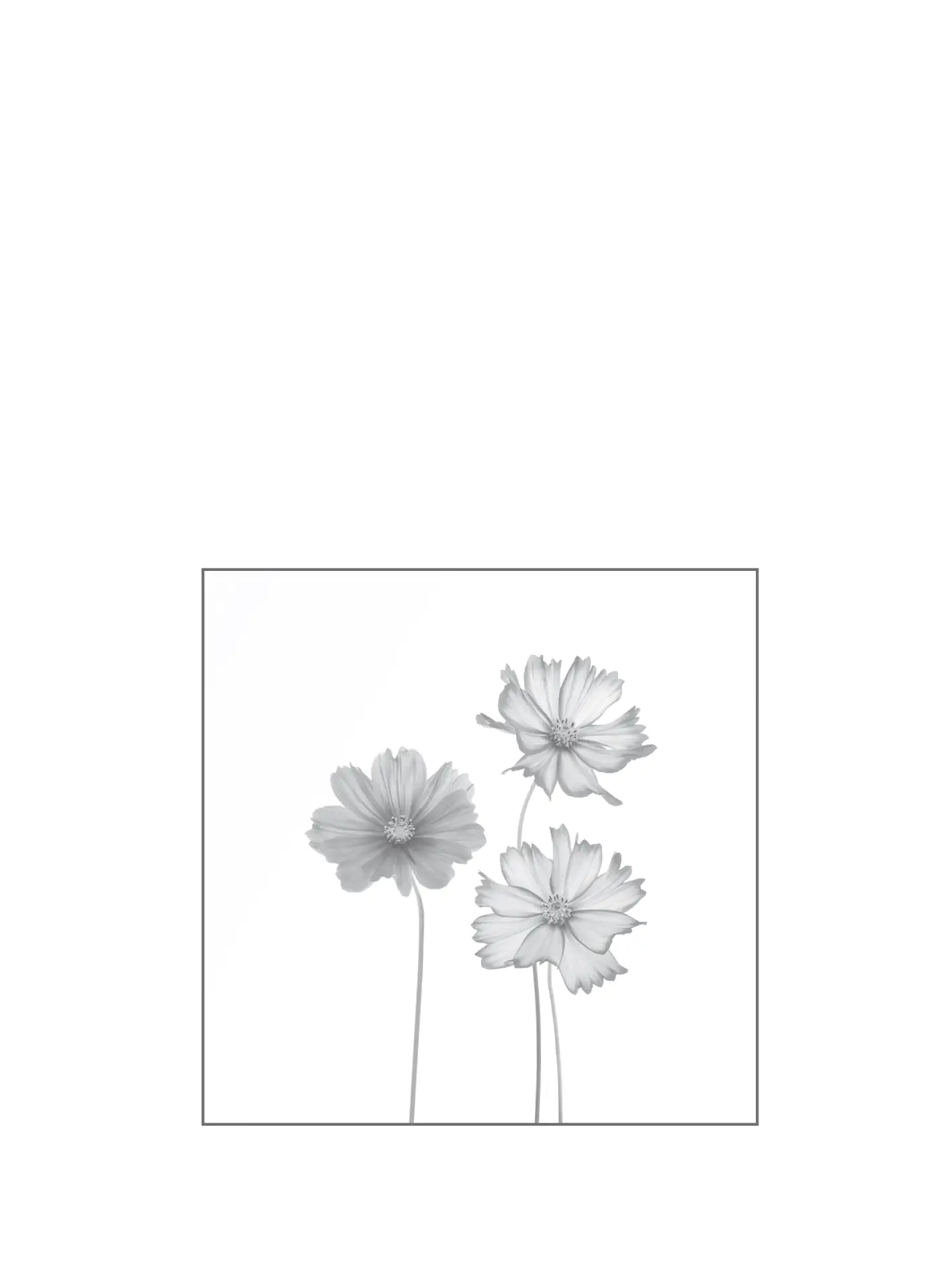 Ambiente Glaszaun Dekor 93 120 x 120 cm gehärtetes 8 mm Glas