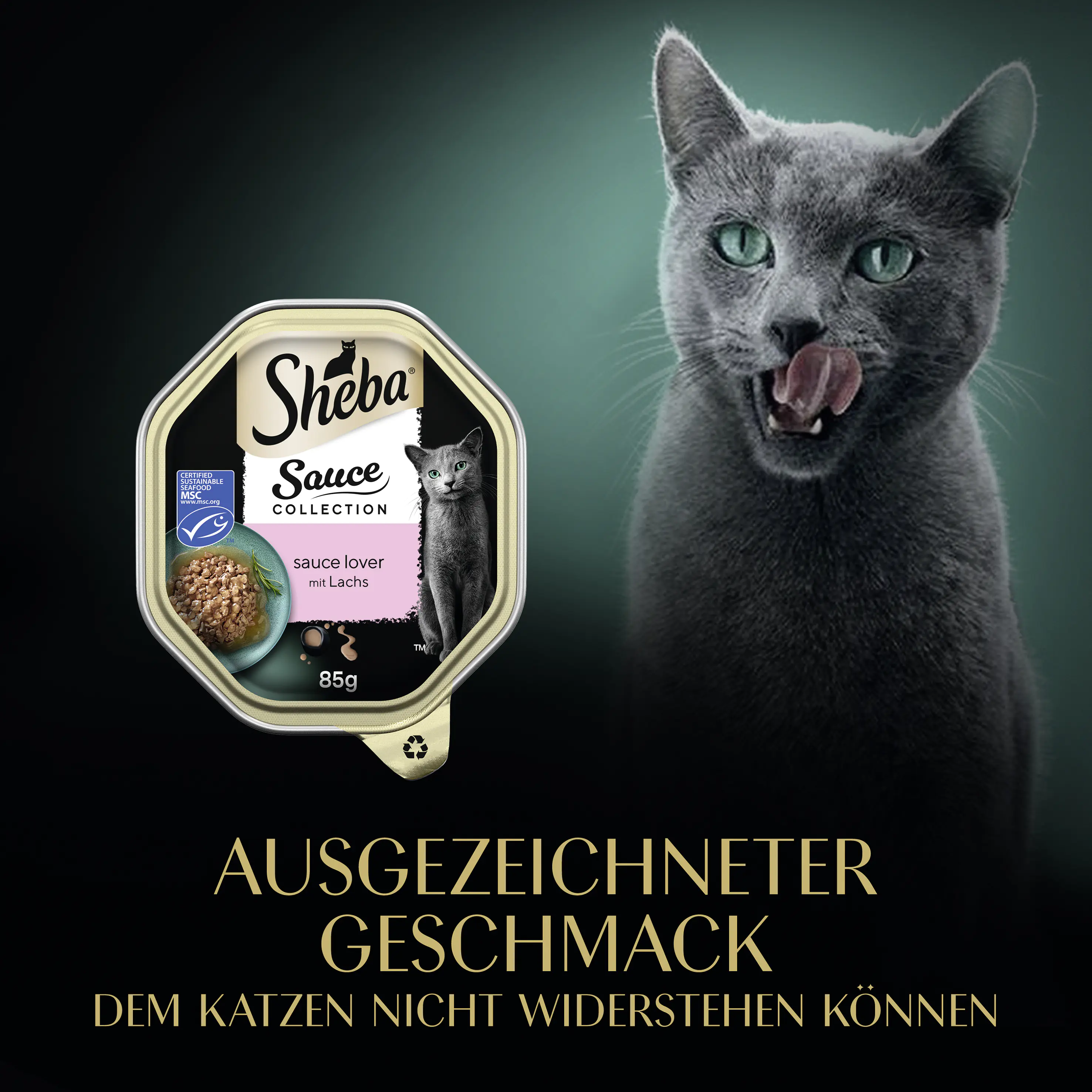 Sheba Sauce Collection Katzennassfutter Adult 85 g Sauce Lover mit Lachs