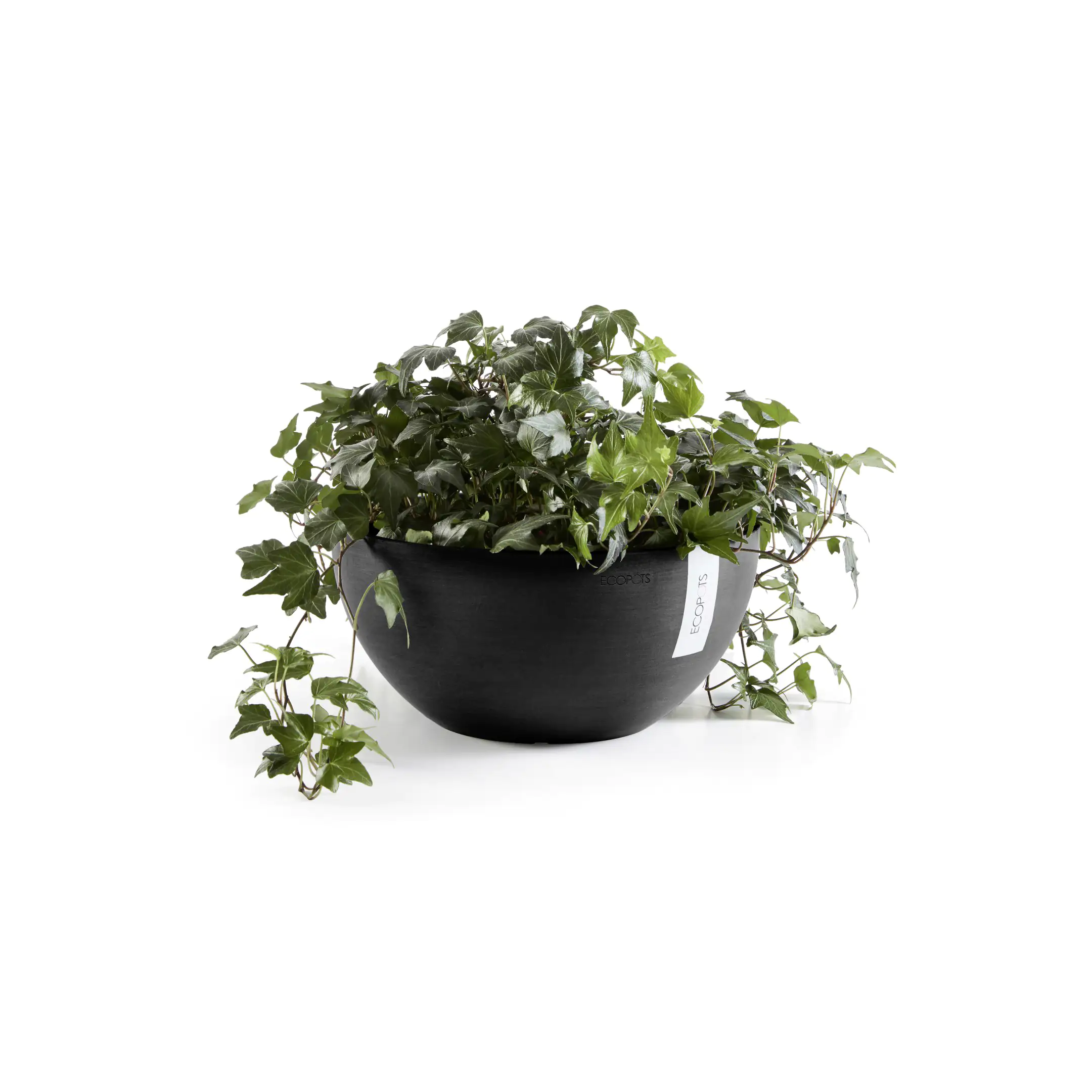 Ecopots Pflanztopf Brussels Ø 25 x 12 cm dunkelgrau