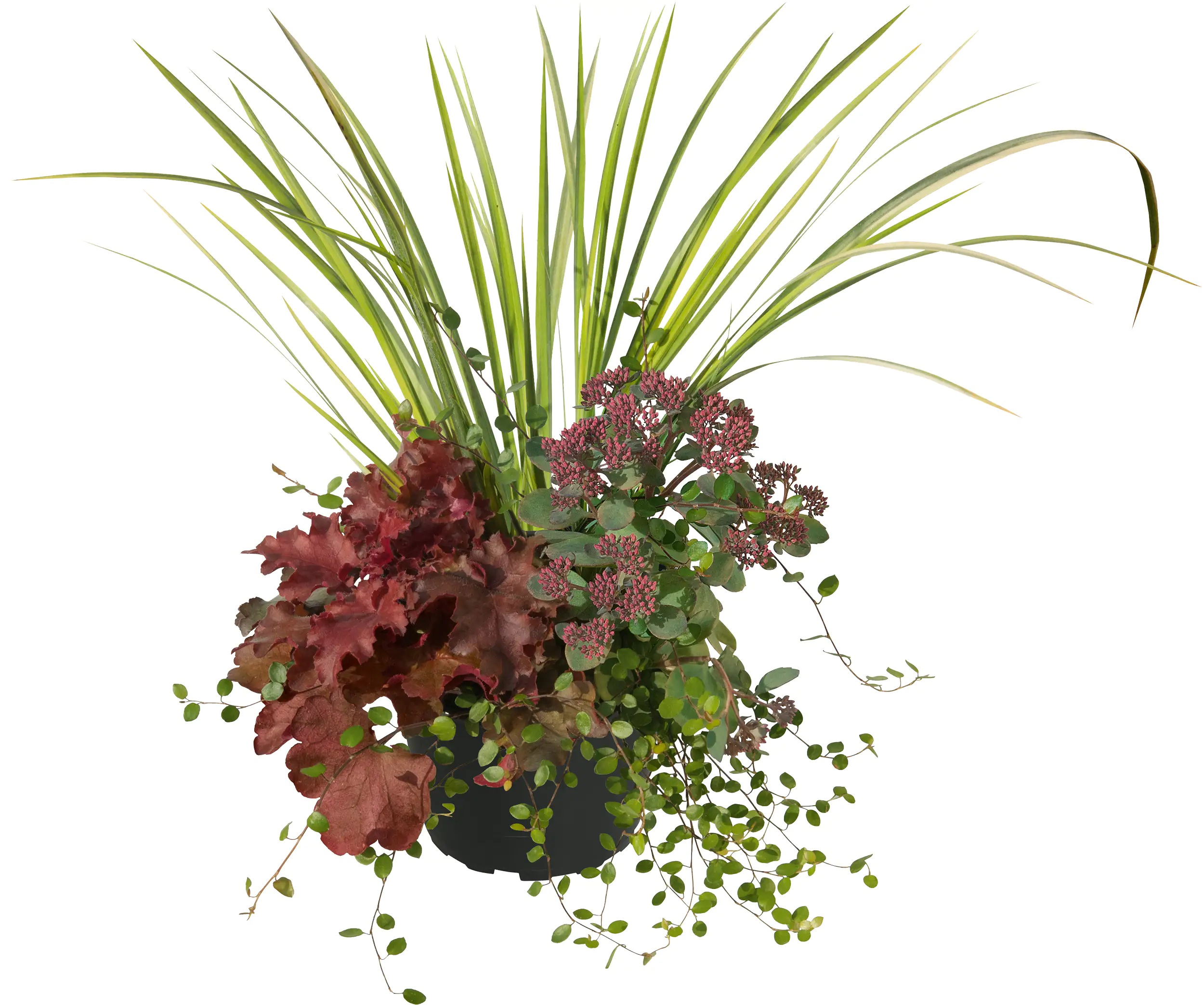 Trio-Mio Herbstzauber 5 l Container