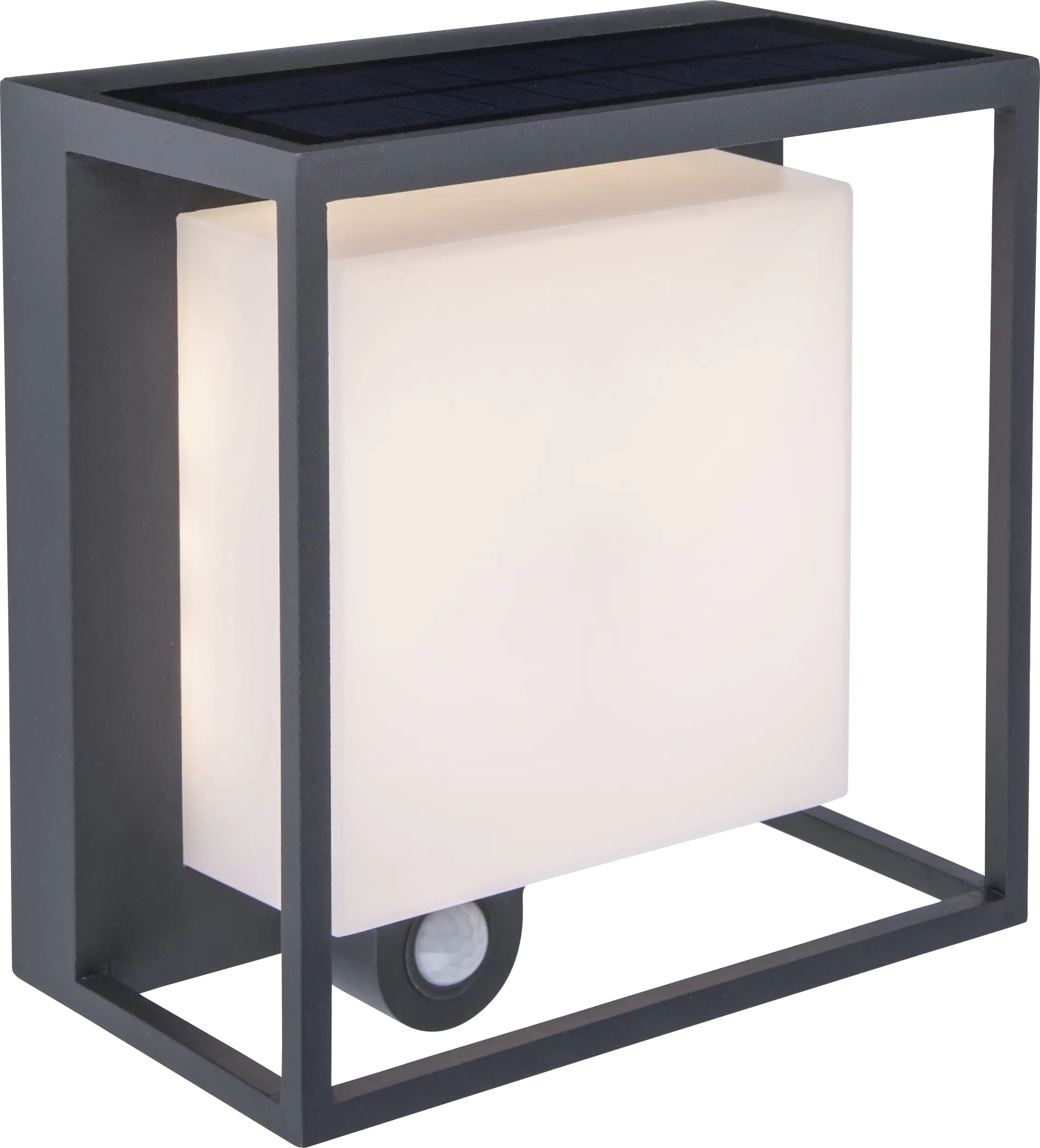 Lutec LED Außenleuchte Solar Curtis 3 W 19 x 16,5 cm Bewegungsmelder
