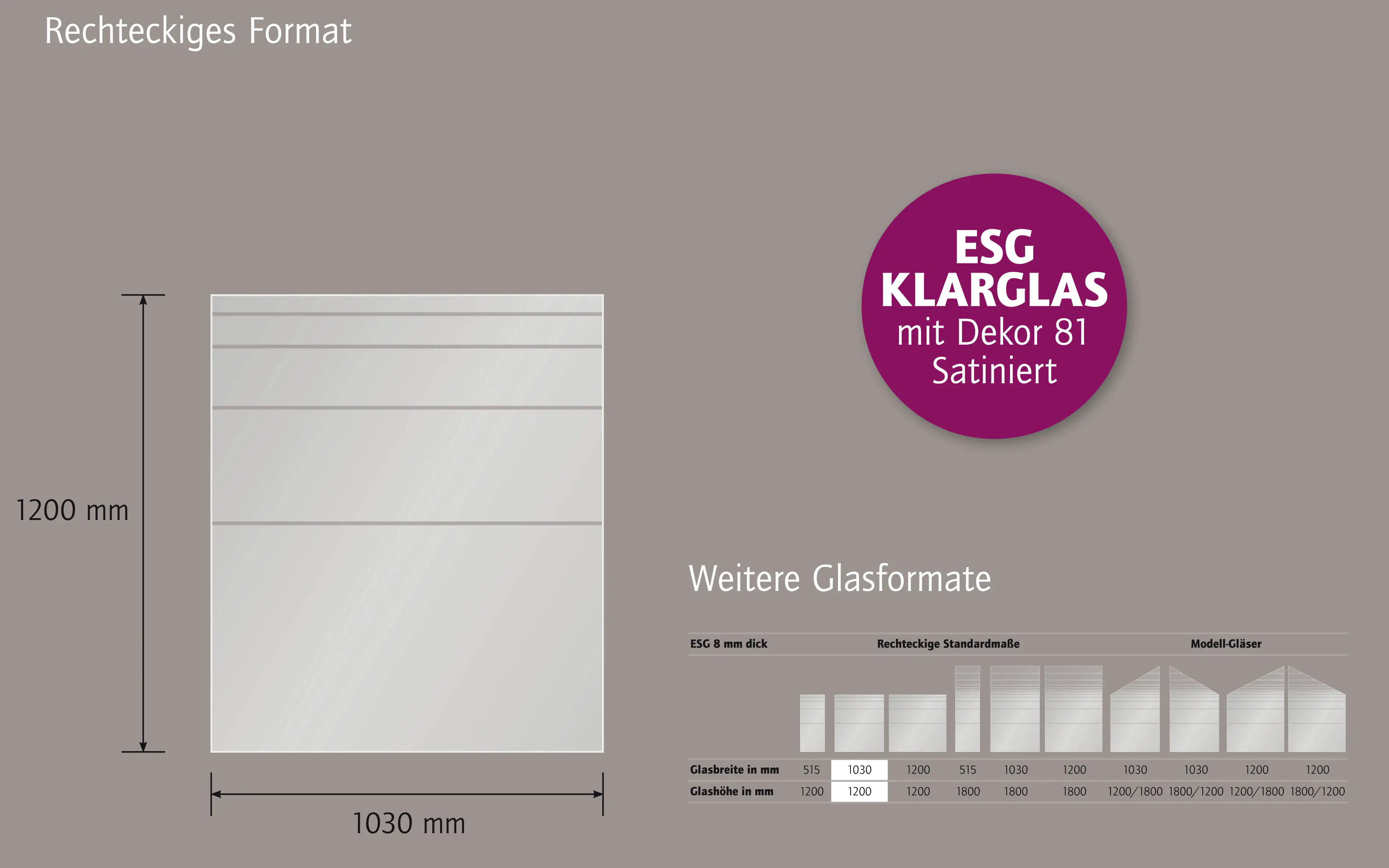 Ambiente Glaszaun Dekor 81 103 x 120 cm gehärtetes 8 mm Glas