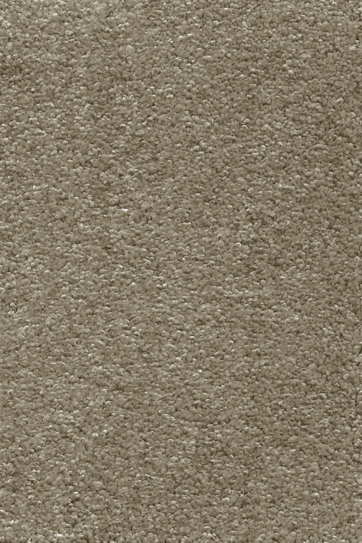 Teppichboden Ella beige 4 m breit (Meterware)
