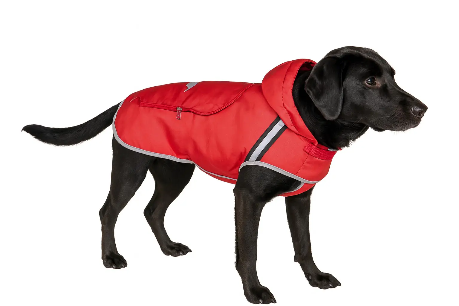 Nobby Hundemantel Rainy Rückenlänge 36 cm, rot