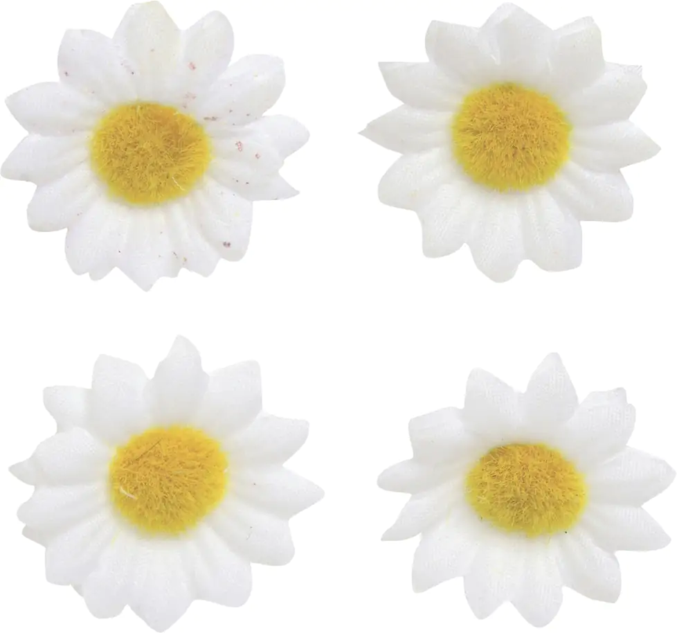 Glorex Streu Margerite weiß 18 Stück