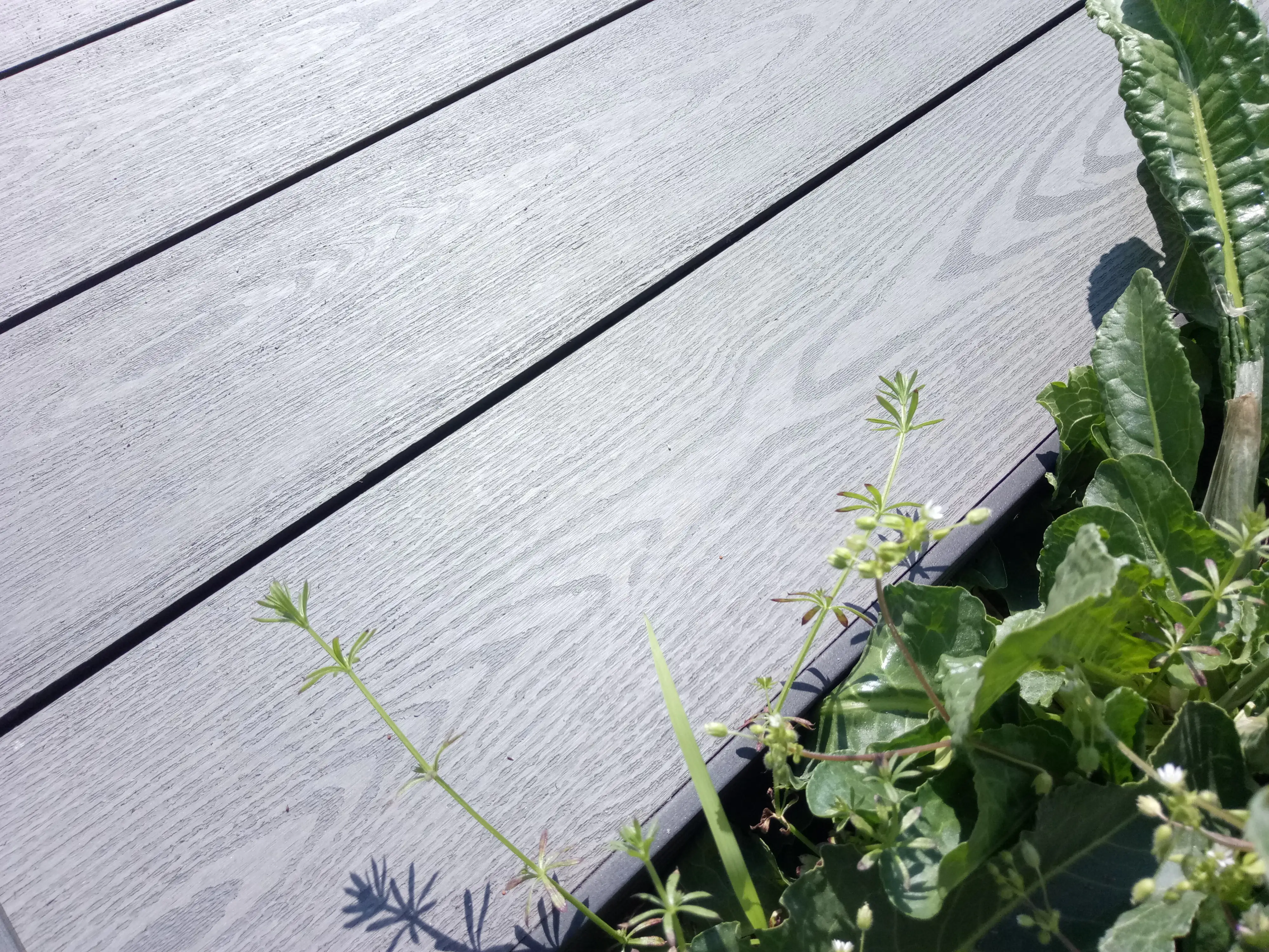 TrendLine Terrassendiele WPC 300 x 14,5 x 2,1 cm grau glatt